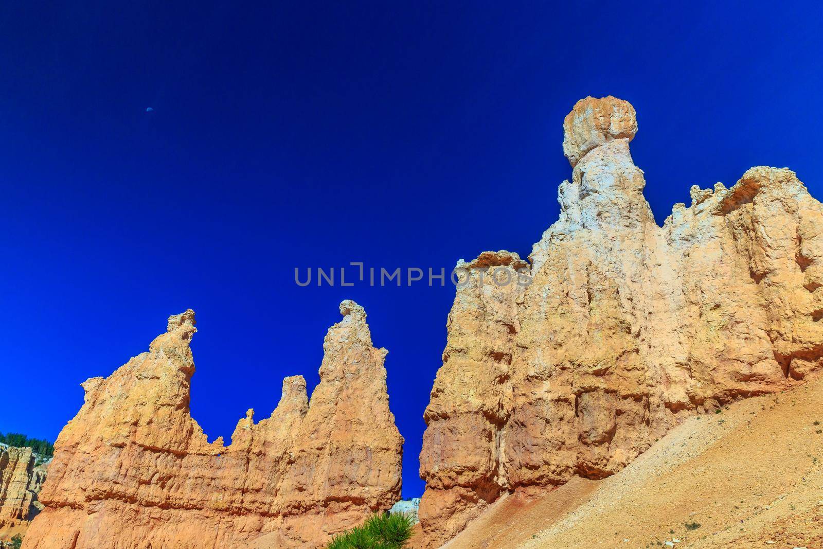 Close-up of Hoodoos in Bryce Canyon National Park, Utah.