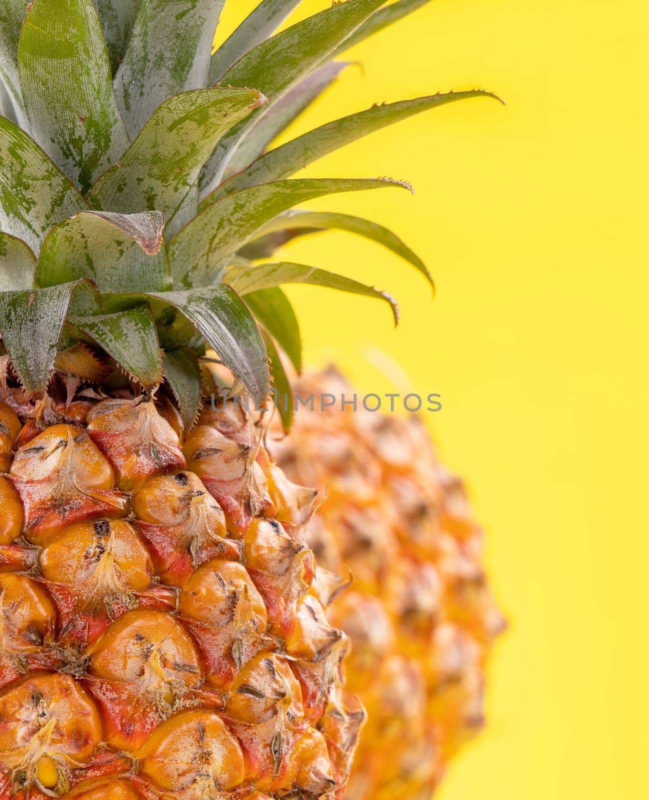 Beautiful fresh pineapple isolated on bright yellow background, summer seasonal fruit design idea pattern concept, copy space, close up