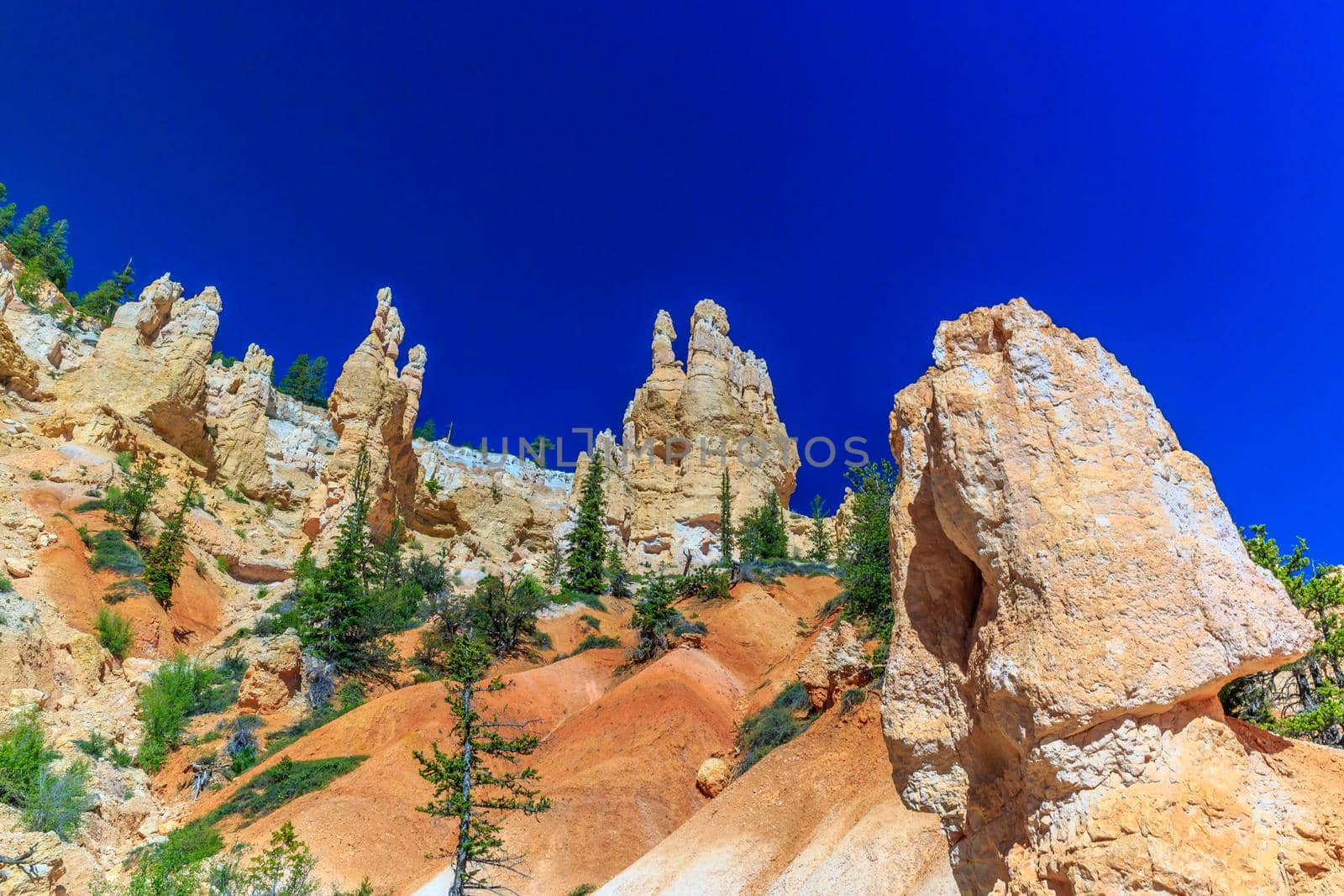 Hoodoos in Bryce Canyon by gepeng