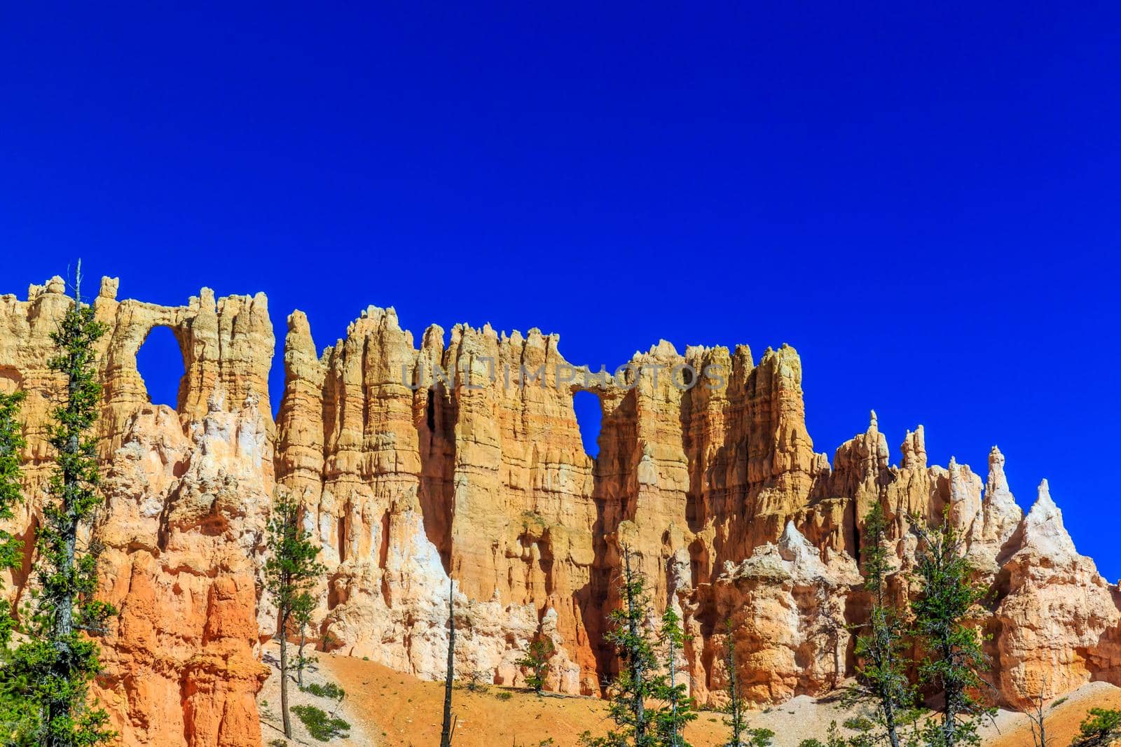Windows in a cliffwall of hoodoos at the 'Wall of Windows' in Bryce Canyon National Park, Utah.