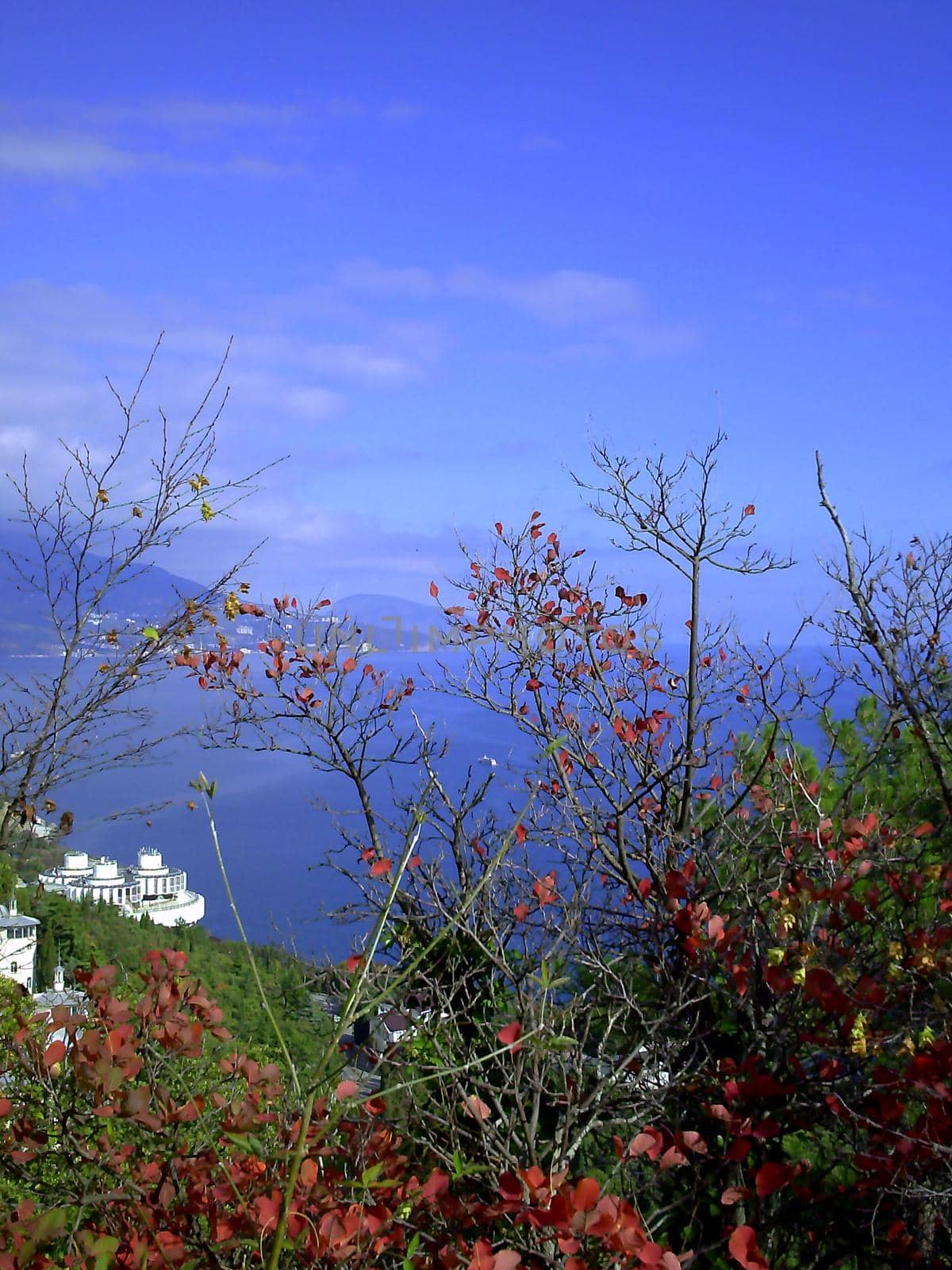 View of Yalta from the village of Livadia in the Crimea by NatalyArt