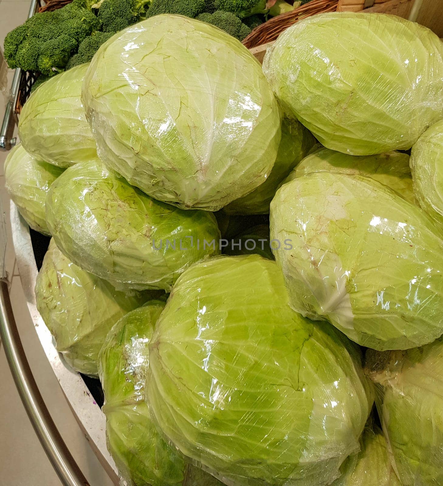 A large pile of fresh white cabbage on the counter in a vegetable supermarket or at the market.