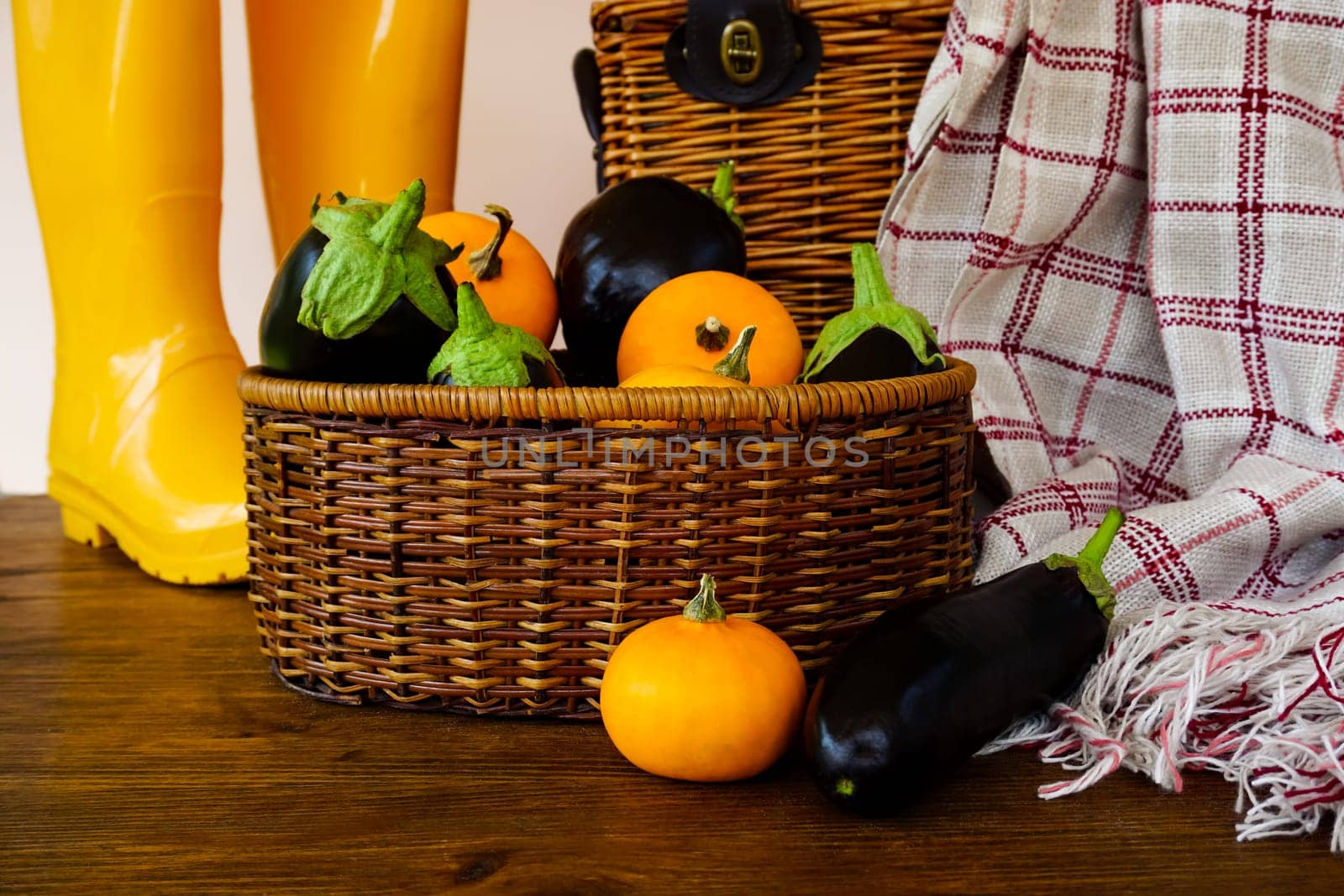 A basket with eggplants and pumpkins is on the table, and in the background there is a wicker basket and yellow rubber boots.