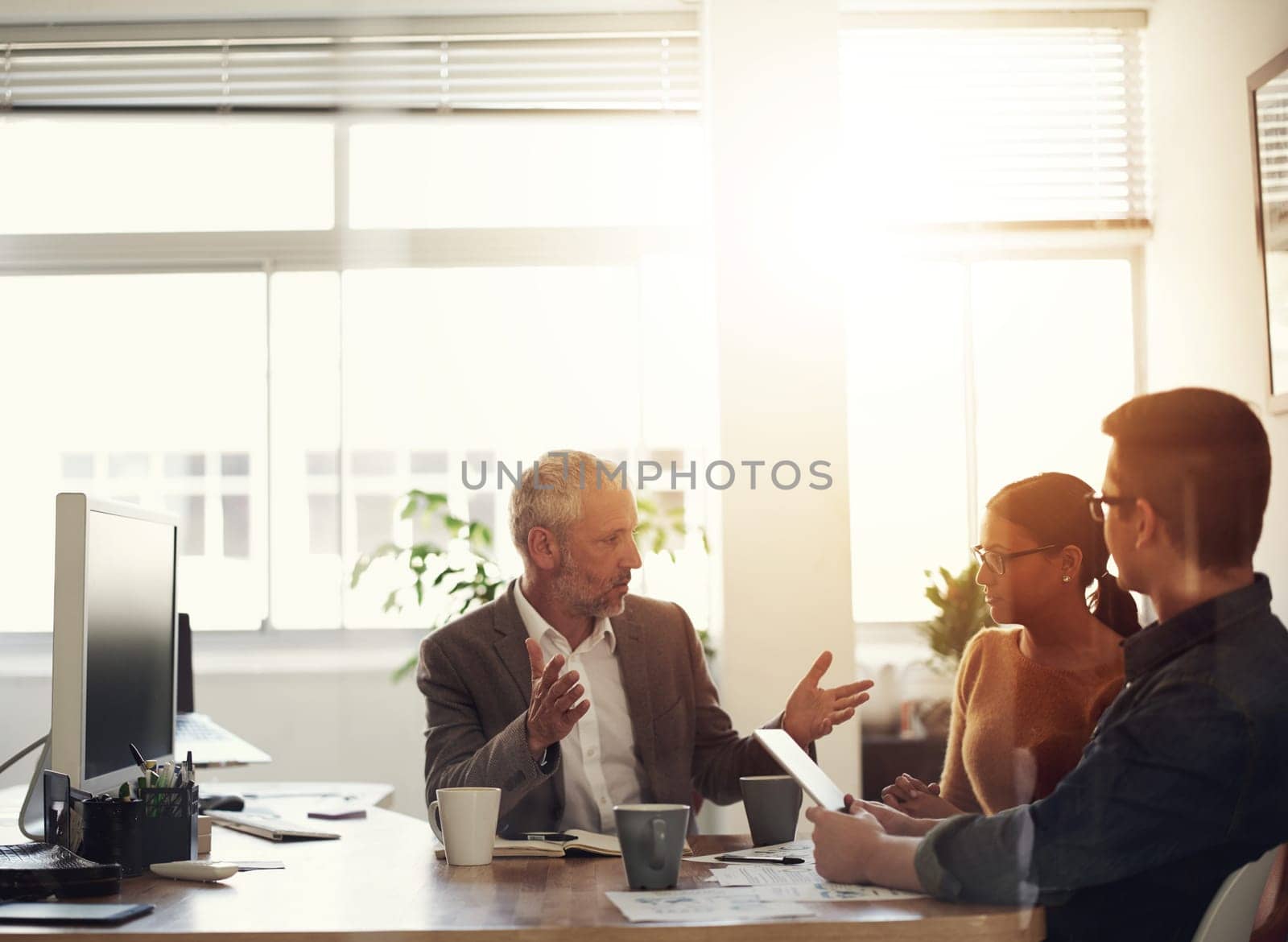 Passing on experience to a new generation. Shot of a group of coworkers in a boardroom meeting. by YuriArcurs