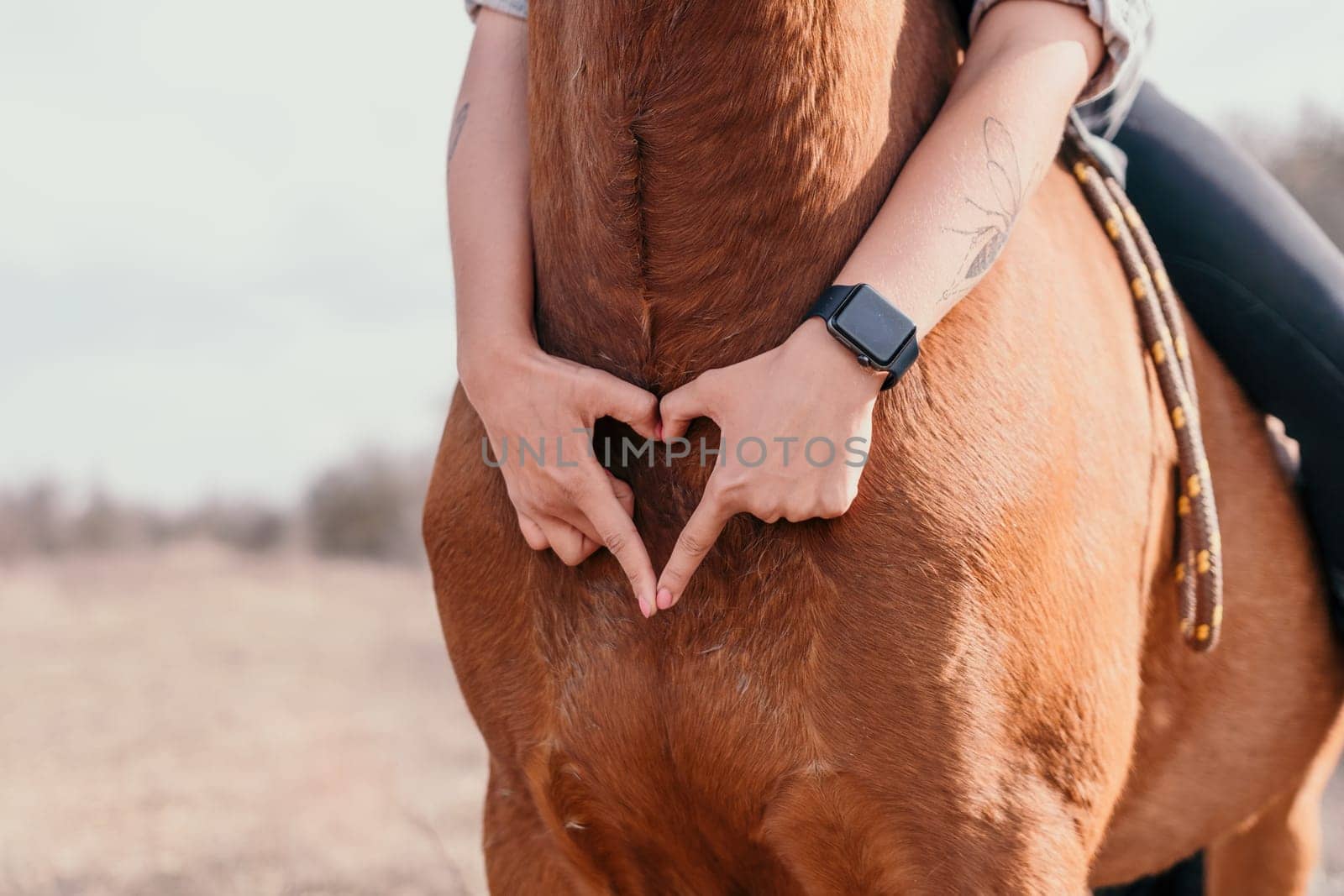Cute happy young woman with horse. Rider female drives her horse in nature on evening sunset light background. Concept of outdoor riding, sports and recreation.