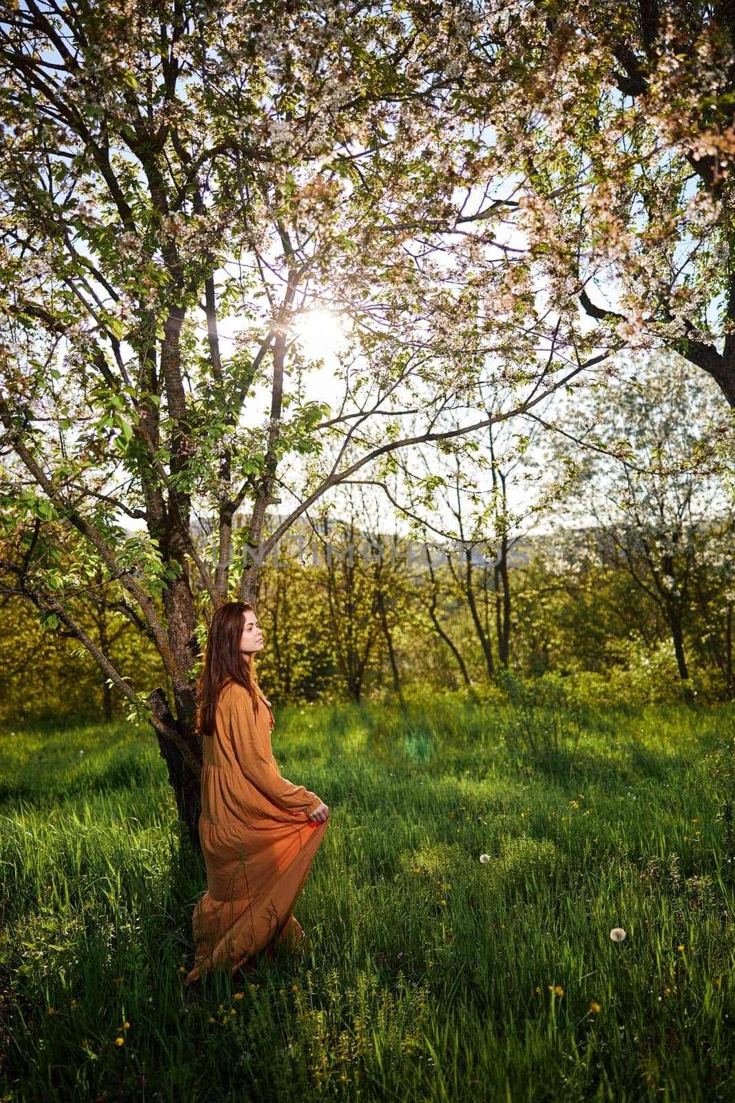 a sweet, modest, attractive woman with long red hair stands in the countryside near a flowering tree and lifts the hem of her dress up. High quality photo