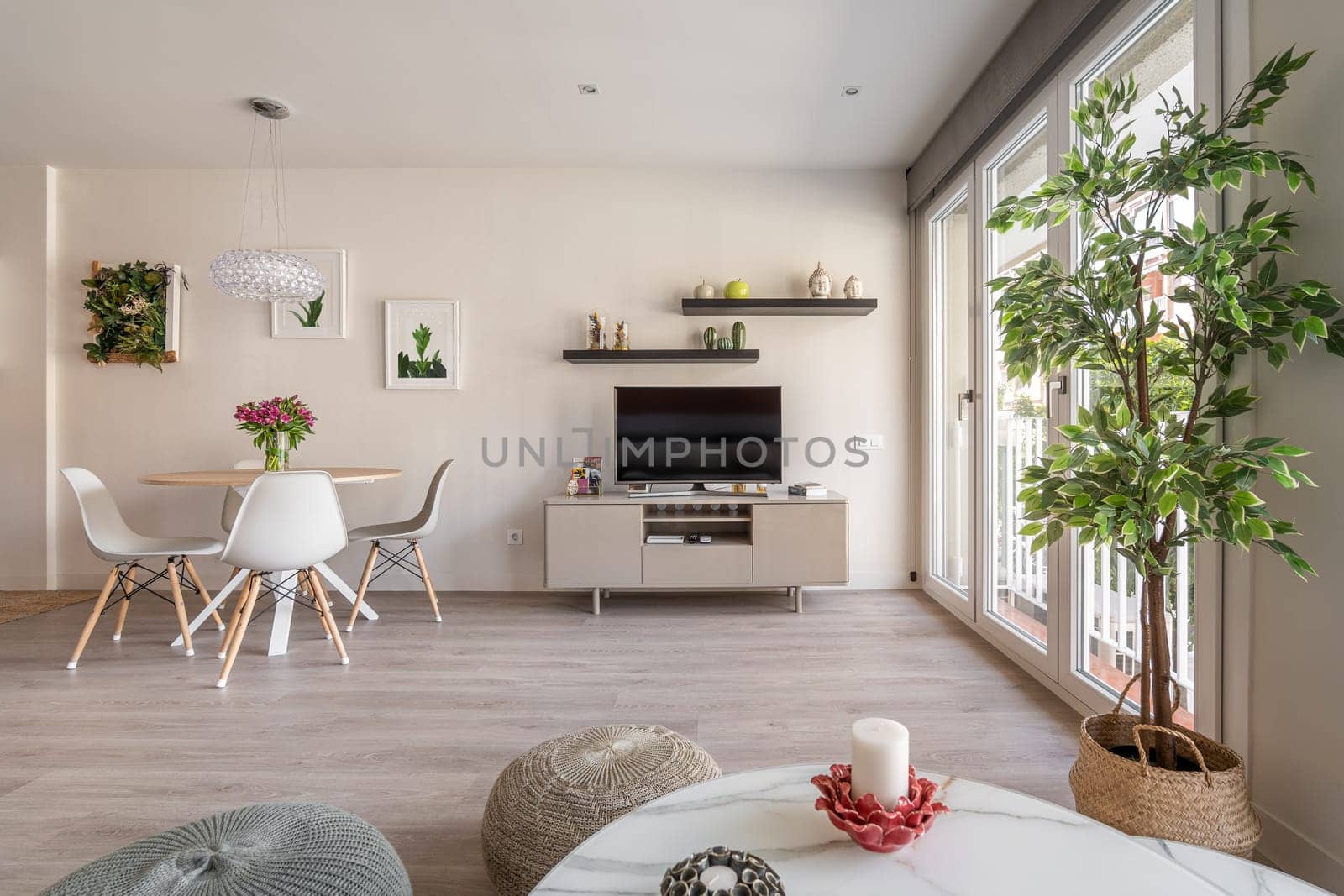 Spacious living room with large windows, dining table on the backdrop of a wall with a TV, shelves and decorative accessories and plants. Concept of functional and stylish apartment interior by apavlin