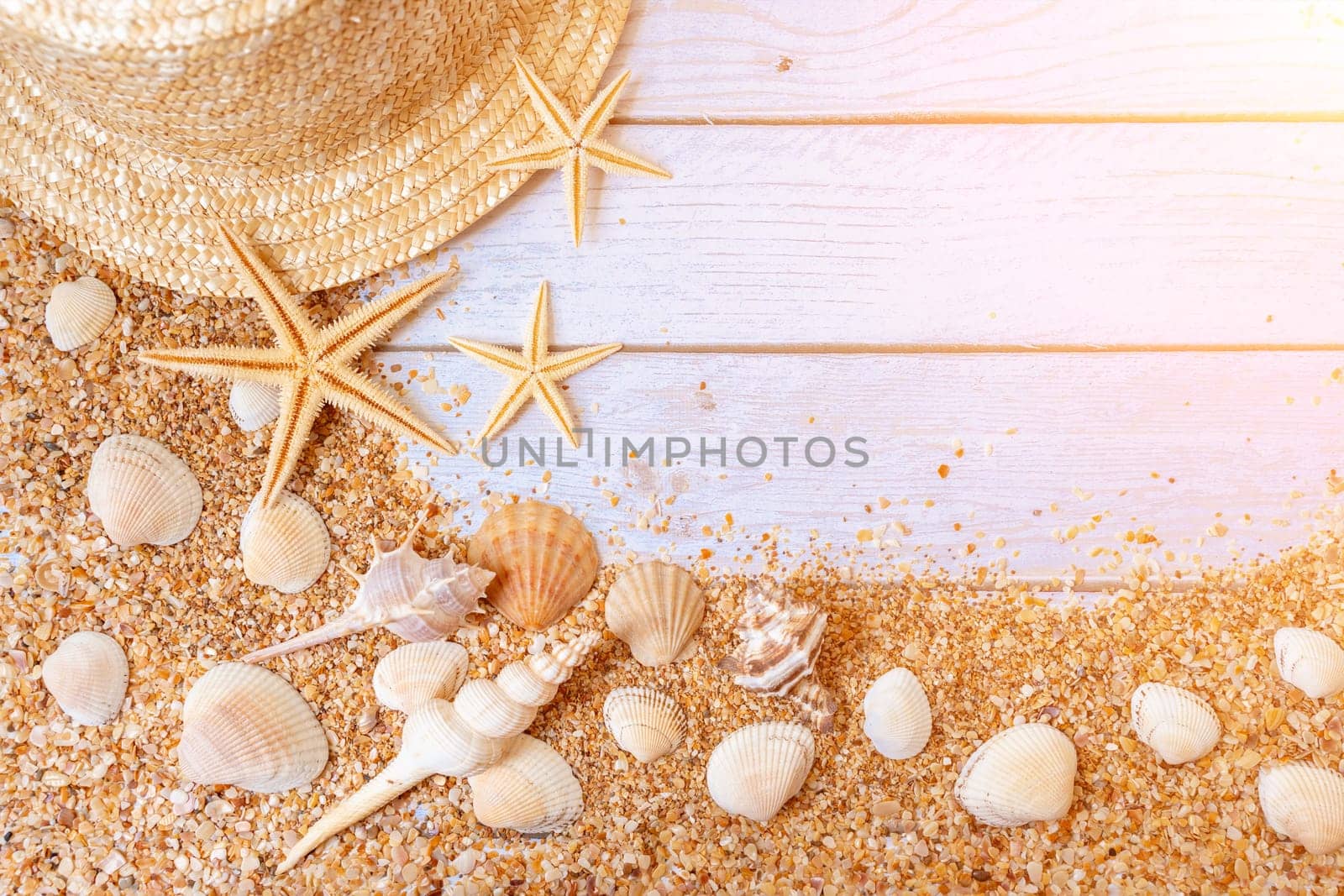 Sand seashells background. Summer time concept with sea shells and starfish on wooden background and sand.