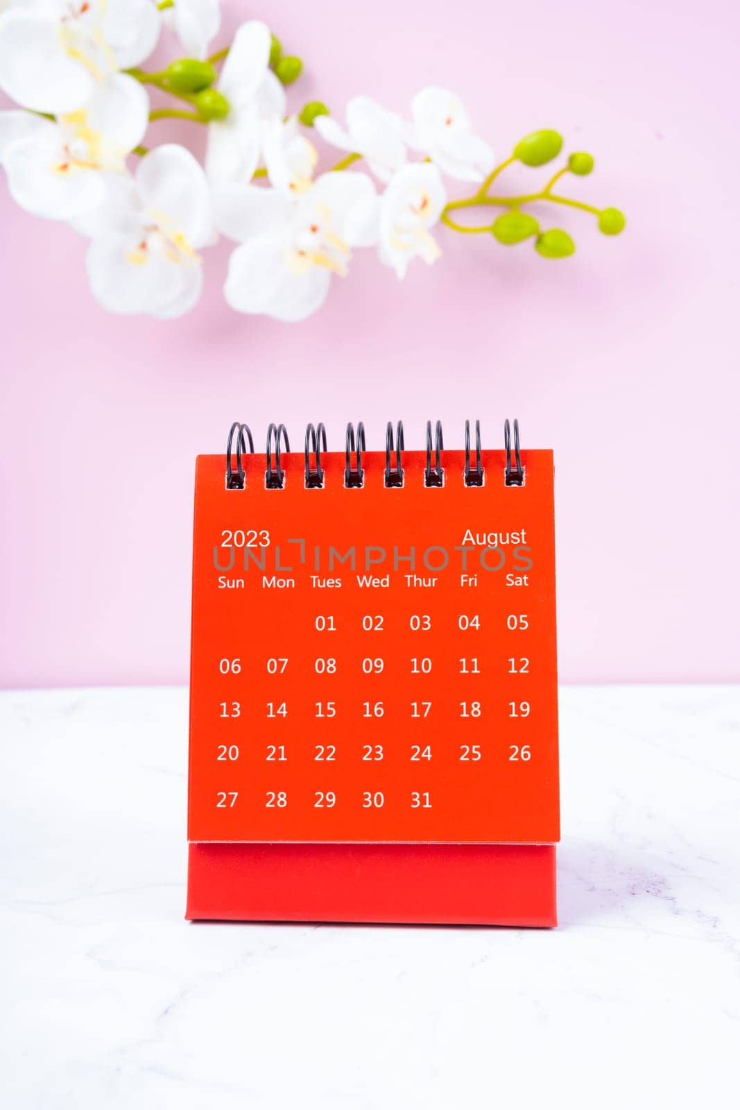 The Red calendar August 2023. Desk calendar for year 2023 and pink orchid on pink background. by Gamjai