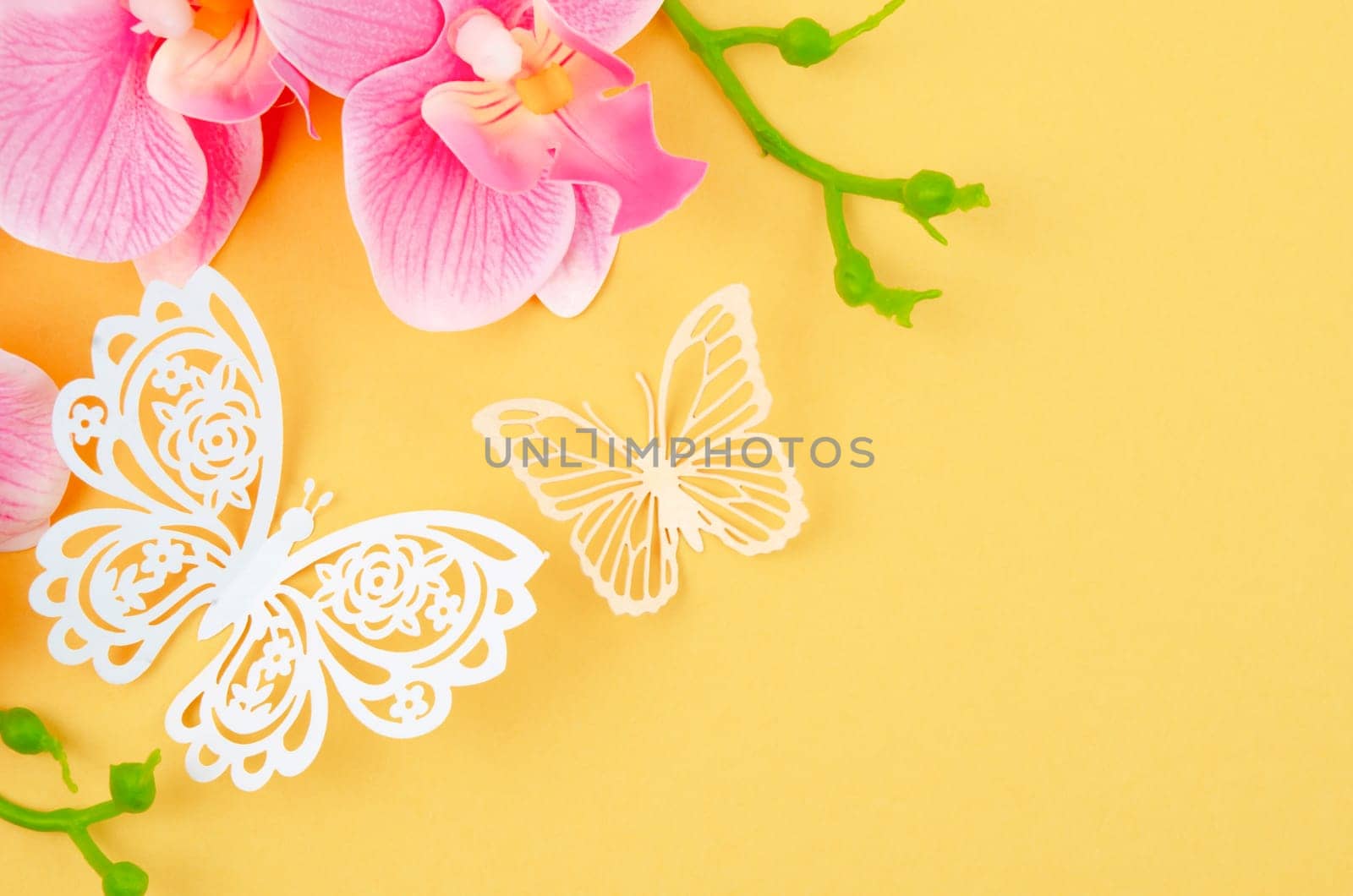 Butterfly Paper Cut with pink color orchid on yellow background