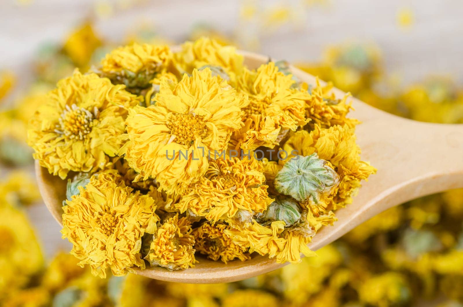 Chinese chrysanthemum flower tea - Dried chrysanthemum buds for herbal tea on wooden spoon background.