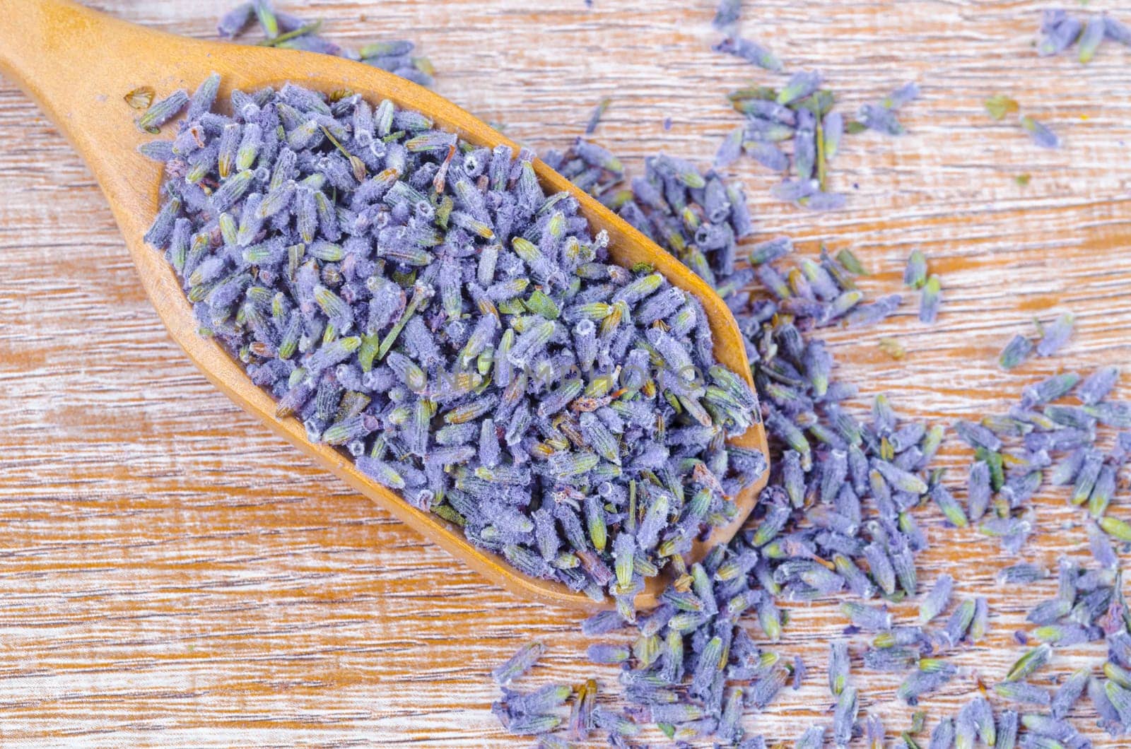 Close-up the dried lavender buds in a wooden spoon by Gamjai