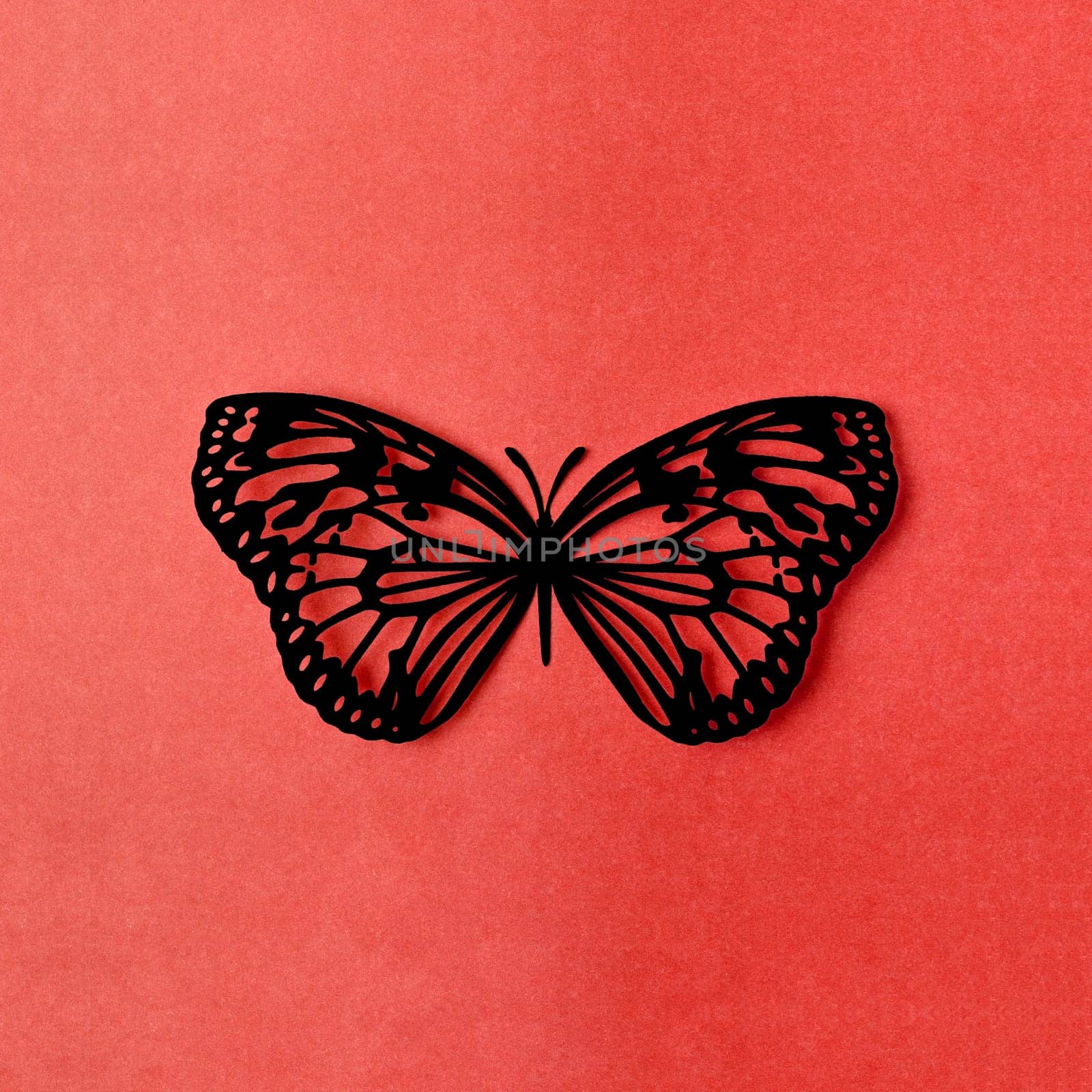 A Black color paper butterfly carve on a red background. by Gamjai