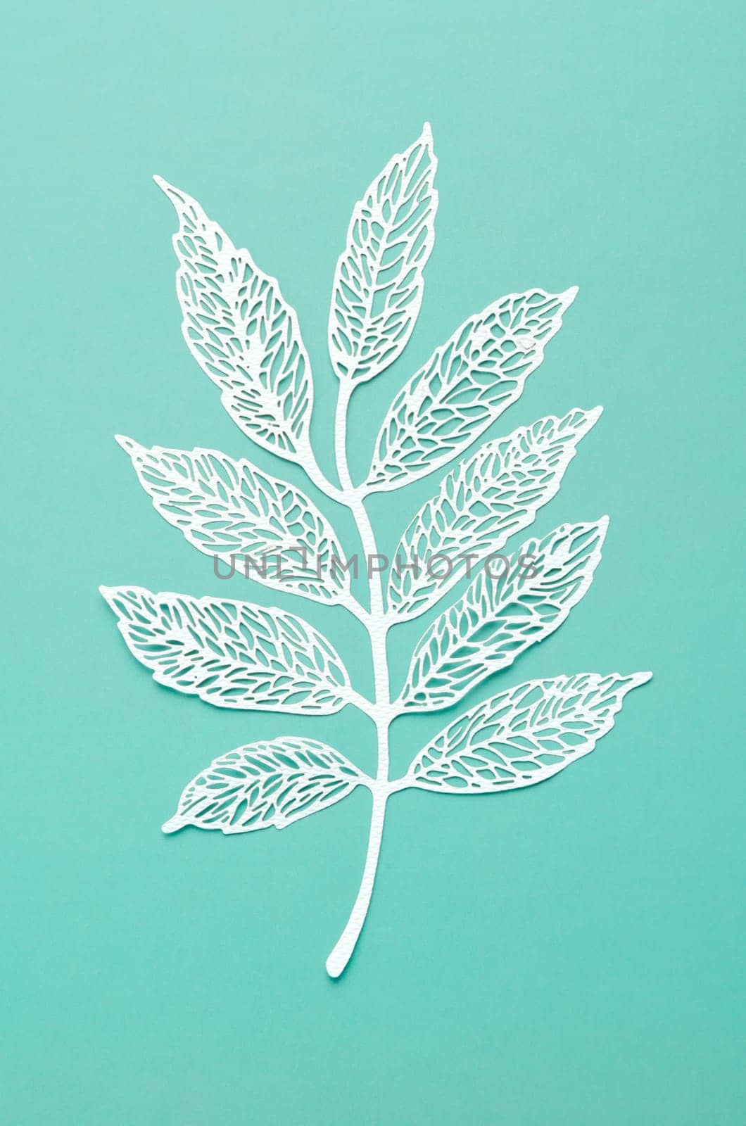 The Carve of white paper leaves on a light green cardboard background. by Gamjai