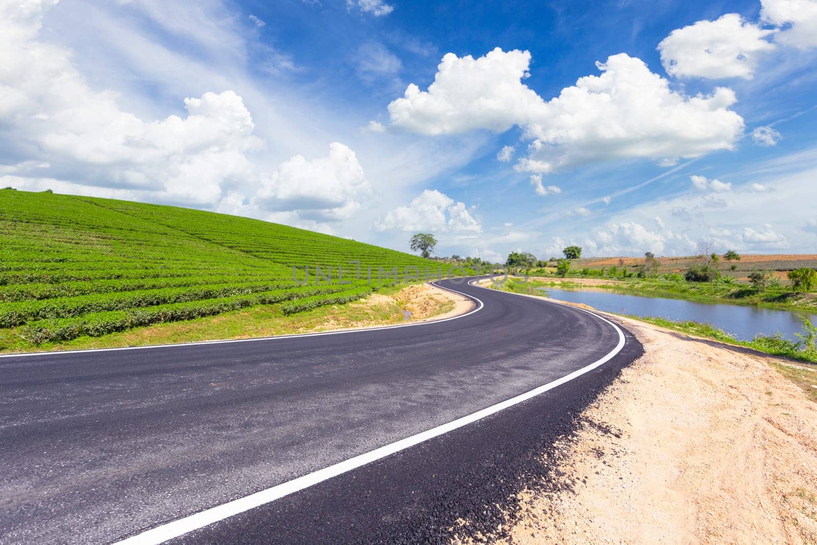 Choui Fong tea plantation and road with blue sky at Mae jan , tourist attraction at Chiang Rai province in thailand
