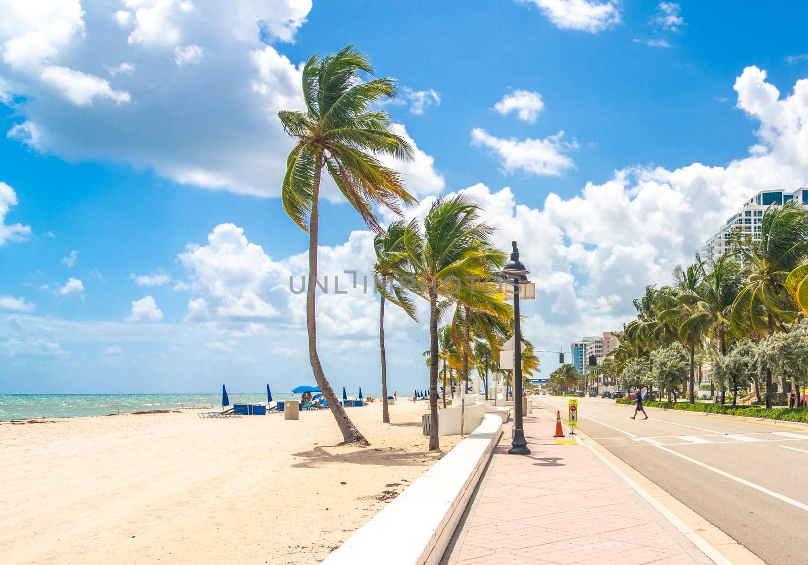 Seafront beach promenade with palm trees
