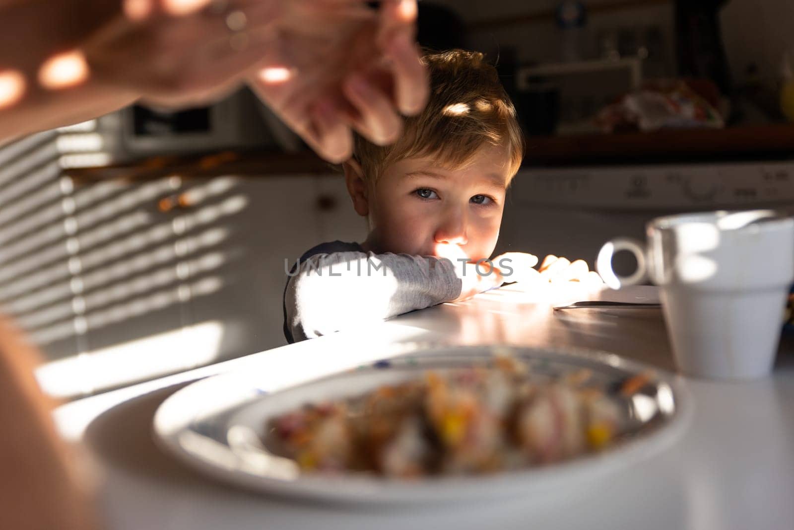 A little boy looking at food on the plate. Mid shot