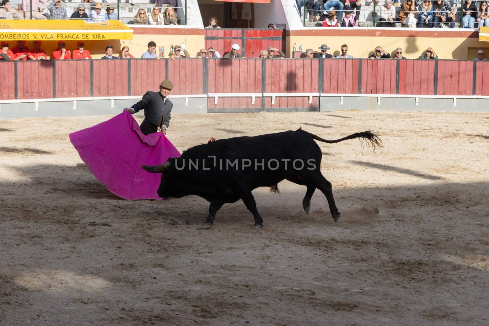 March 26, 2023 Lisbon, Portugal: Tourada - bullfighter in grey costume provokes the bull with a bright rag. Mid shot