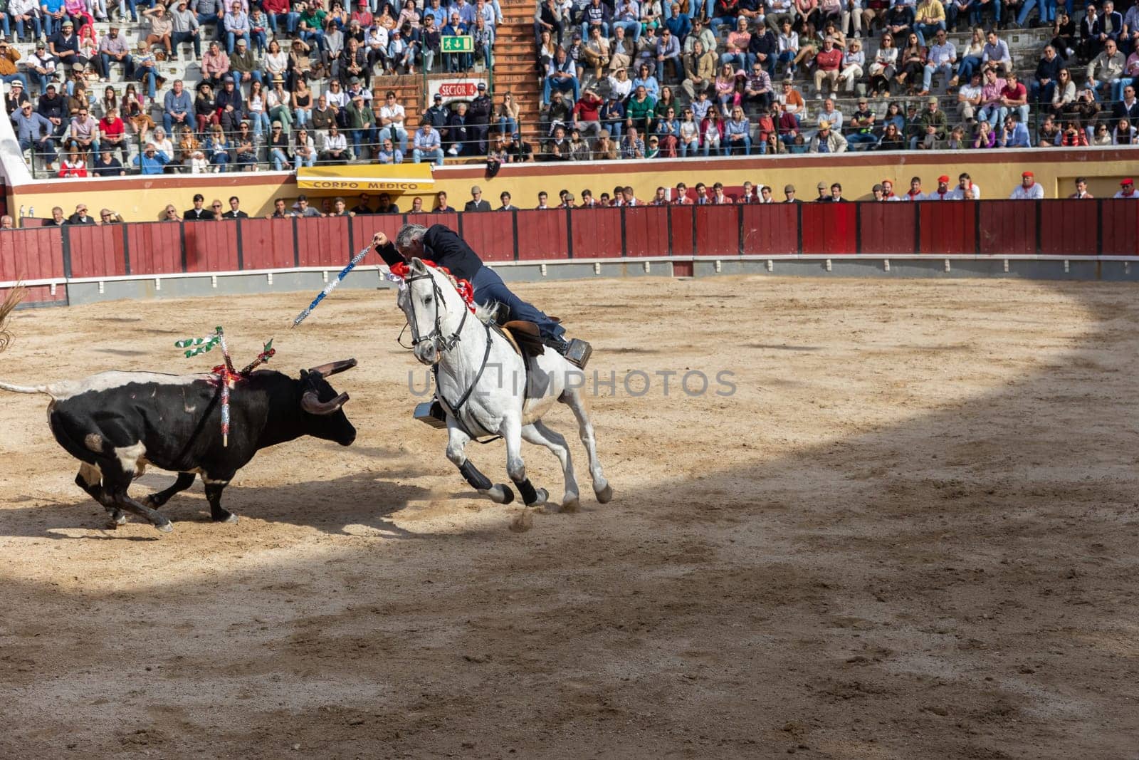 March 26, 2023 Lisbon, Portugal: Tourada - bullfighter on horseback stabbing a bull with a spearin an arena by Studia72