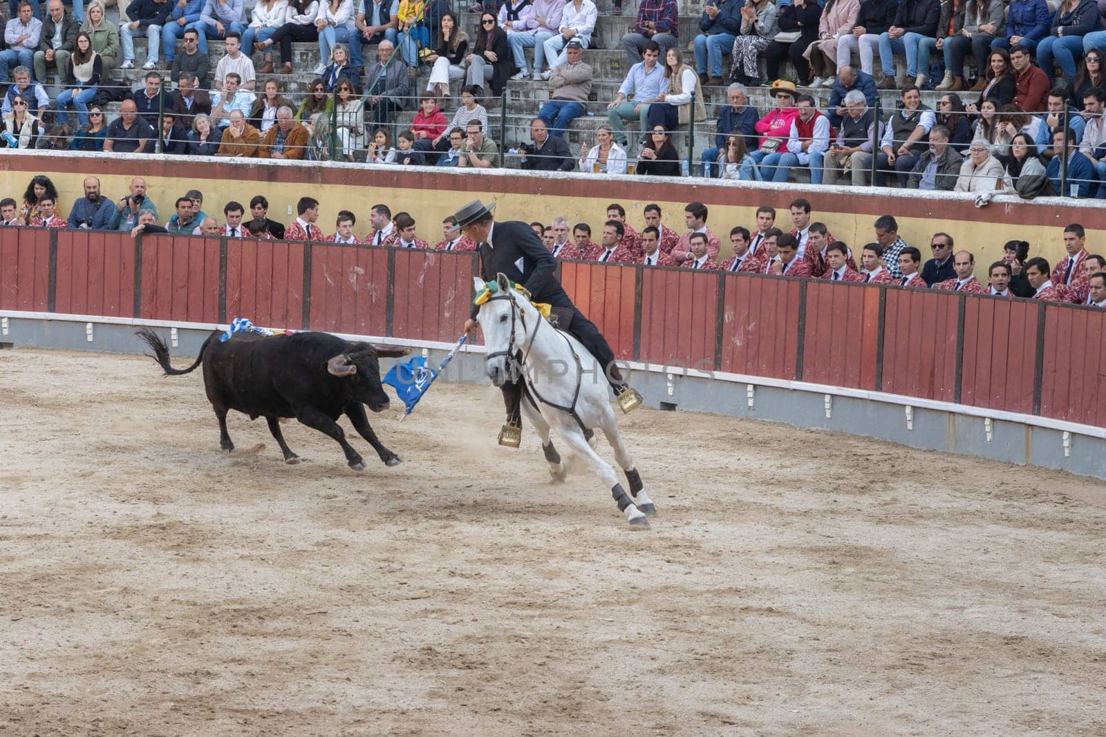 March 26, 2023 Lisbon, Portugal: Tourada - cavaleiro on horseback provokes the bull on arena. Mid shot