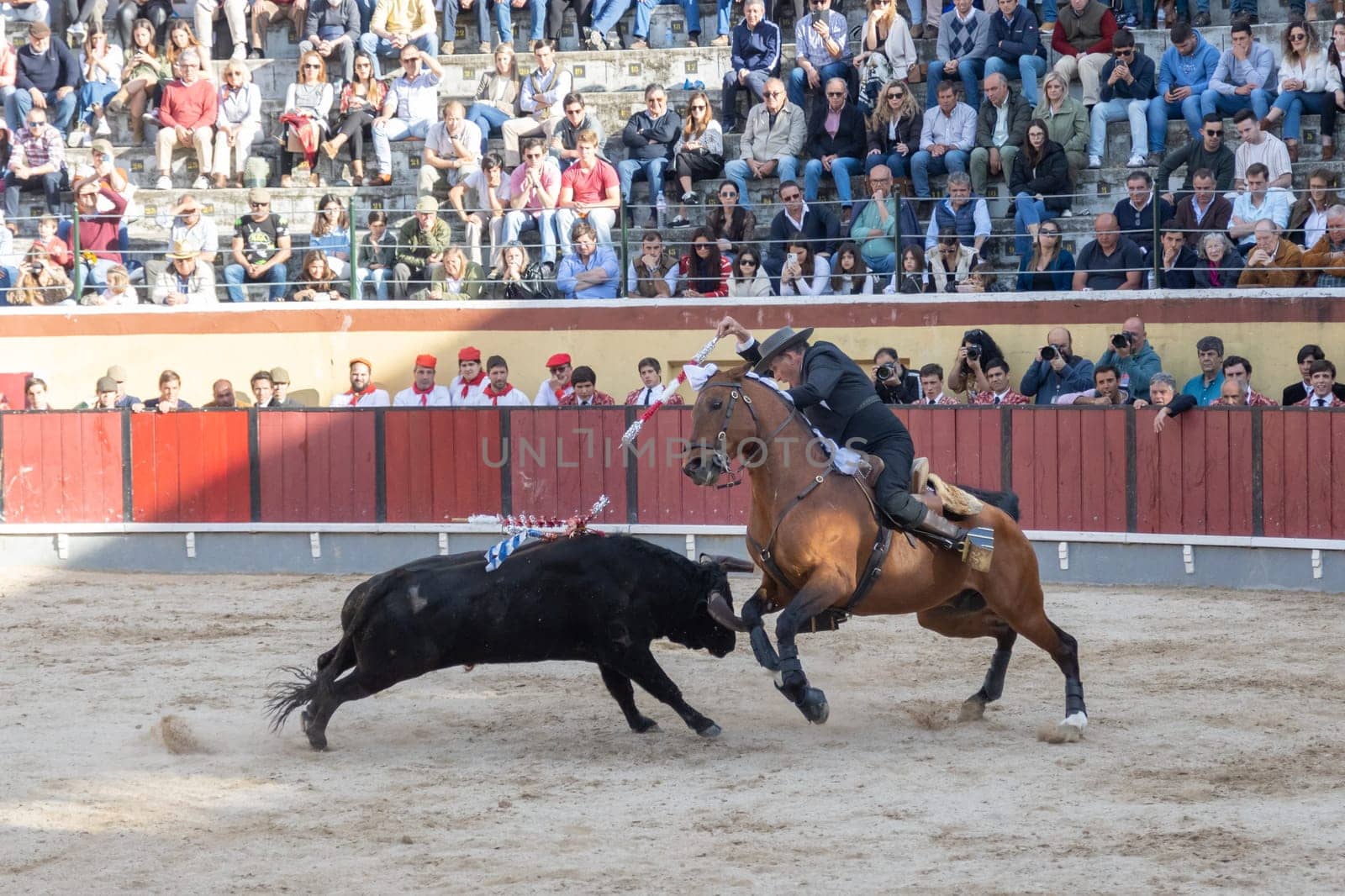 March 26, 2023 Lisbon, Portugal: Tourada - cavaleiro on horseback against the bull on the arena in amphitheater. Mid shot