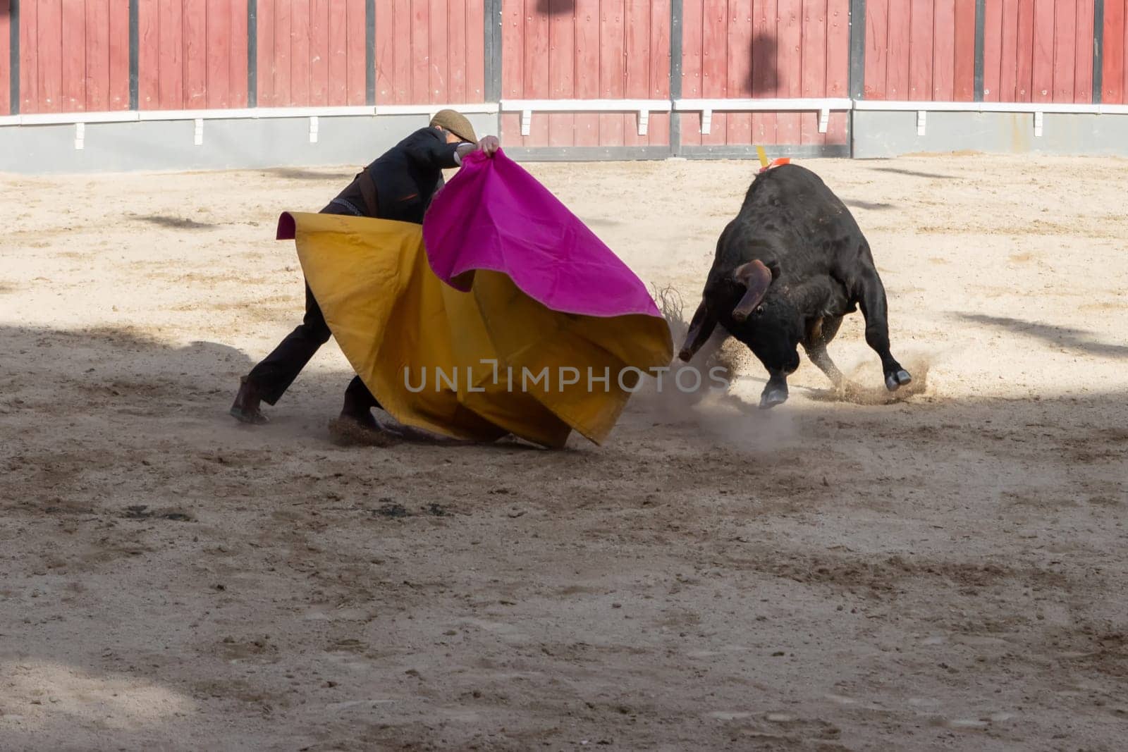 Tourada - Cavaleiro fighting the bull on the arena. Mid shot