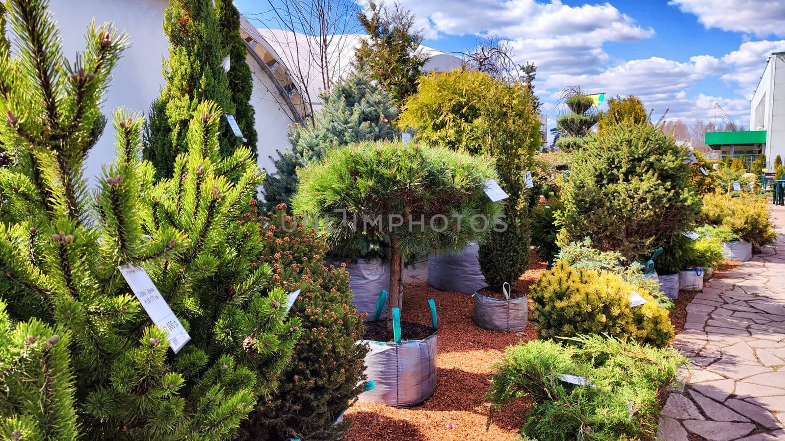 Kirov, Russia - April 23, 2023: Garden centre, plant nursery. Shopping center for the sale of plants, trees, flowers for garden. Early spring or summer day