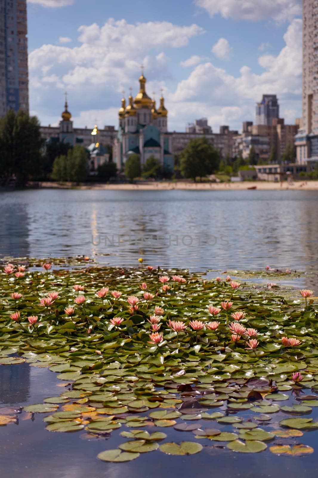 Beautiful Kiev city park lake of lotuses against background of urban city with many multi-colored water lilies in green European capital. Concept of nature in metropolis