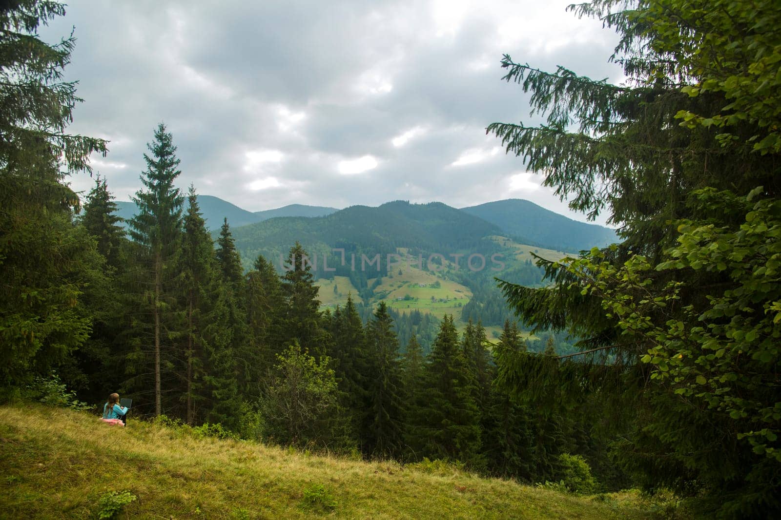 Young woman freelancer traveler working online using laptop and enjoying beautiful nature landscape with mountain