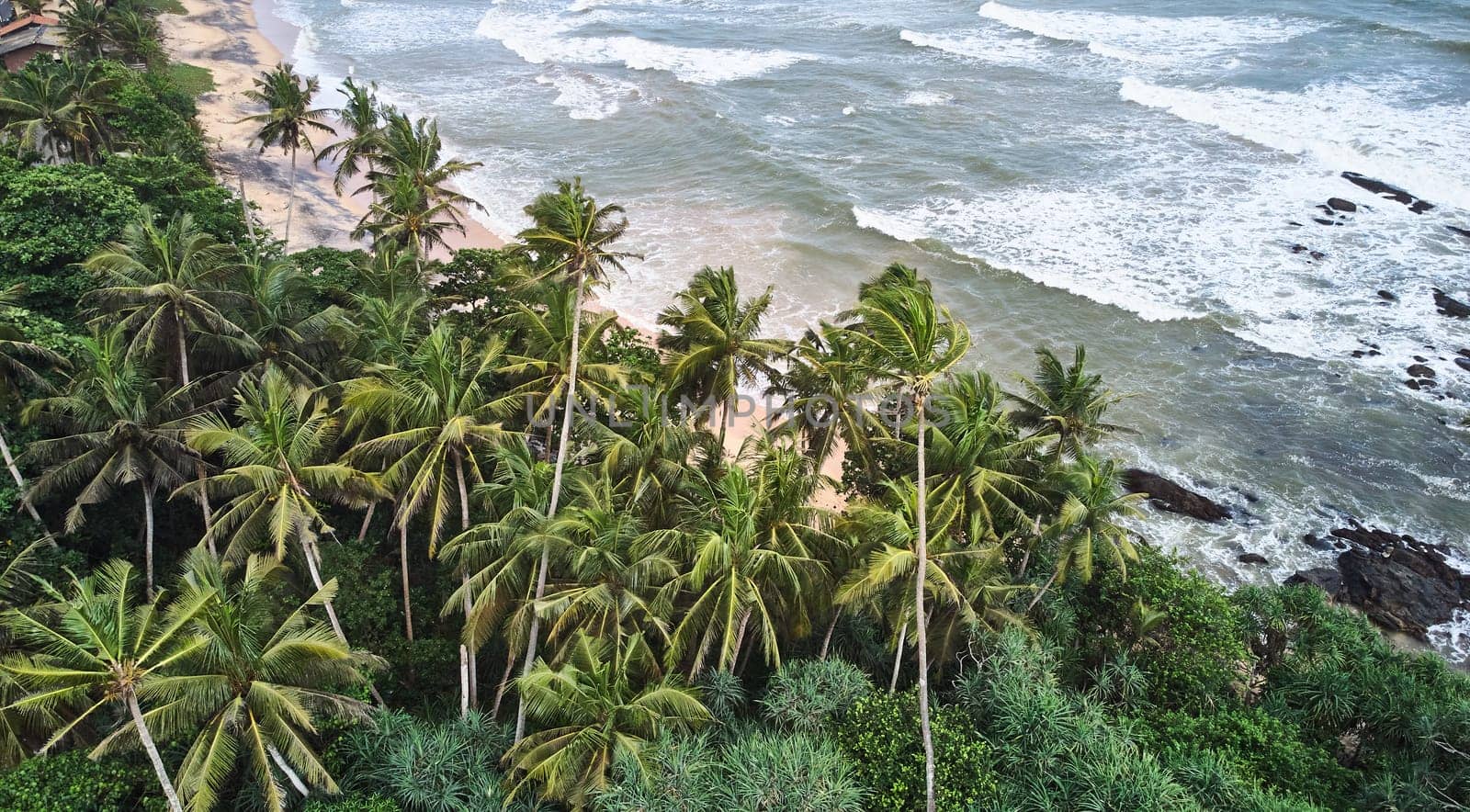 Aerial view of the beach with palm trees. Sri-lanka, Matara by driver-s