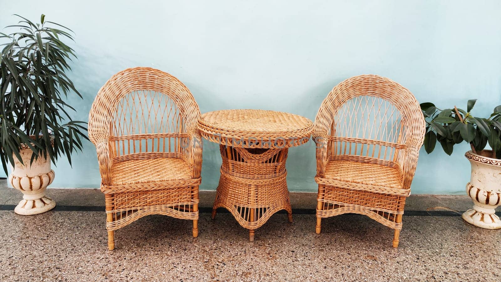 Interior with different green house flowers in pots and wicker chairs on floor. Winter garden in an empty hall