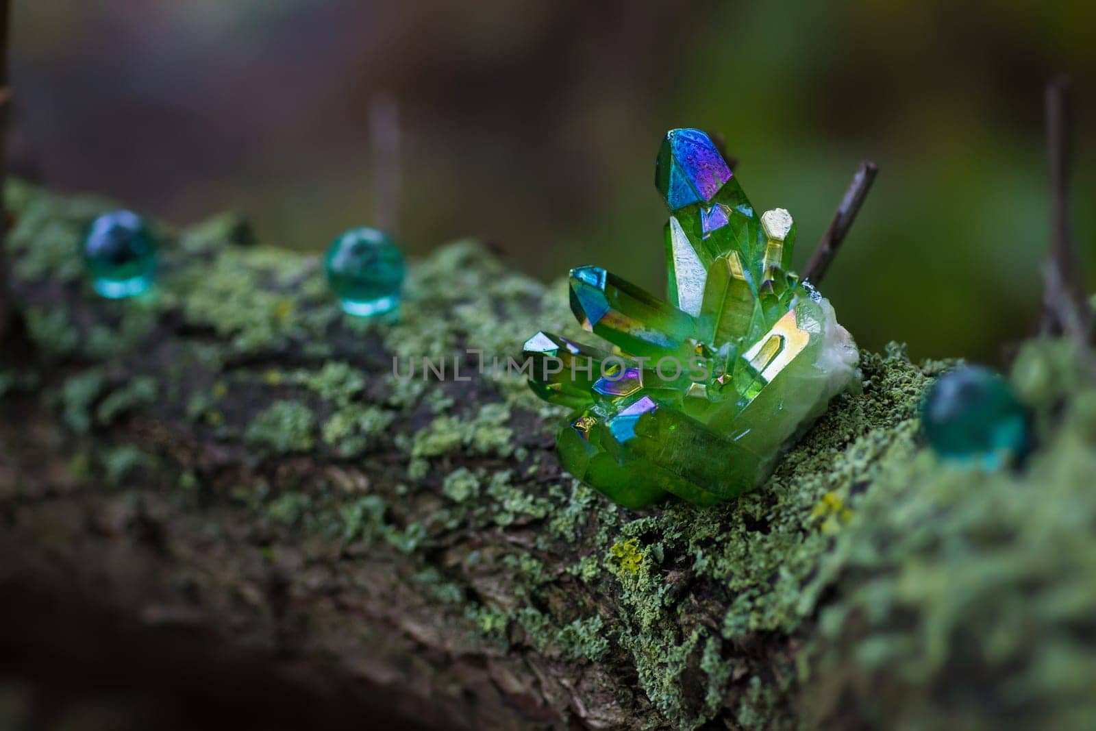 Green magical crystals in the autumn forest