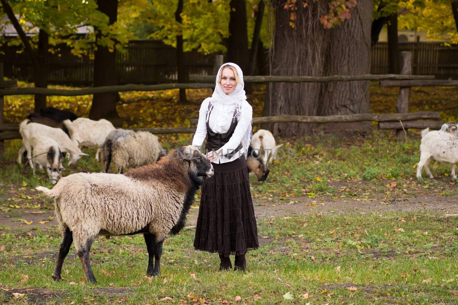 Pretty woman stroking cute sheep on a green glade