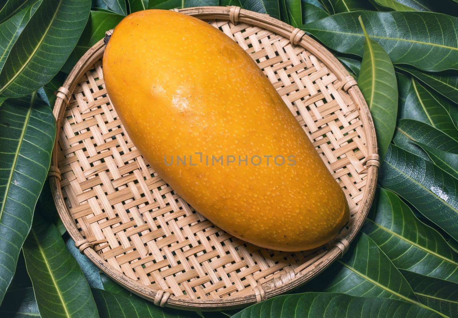 Fresh juicy beautiful mango fruit in bamboo sieve over green leaf background. Tropical summer harvest concept, top view, close up, macro, copy space.