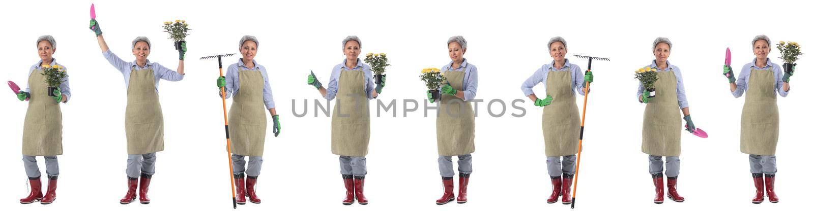 Set of asian mature gardener woman with tools full length portraits doing different gestures isolated on white background