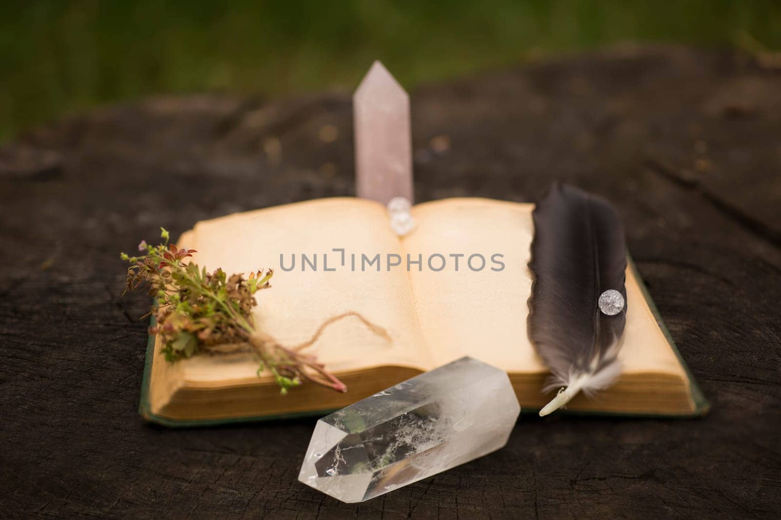 Wiccan witch altar with open recipes spell book alchemy ingredients around, sack of medicinal herbs wizard table background, magic quartz crystal feather crow stump in forest