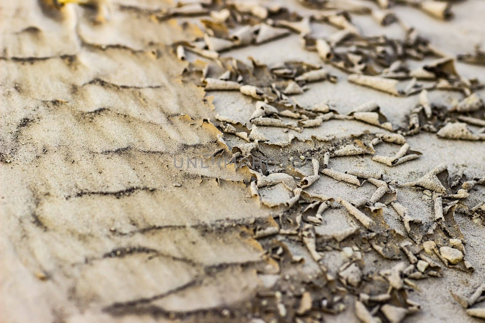 Cracked dry ground sand on the nature outdoors. Texture, background, sample