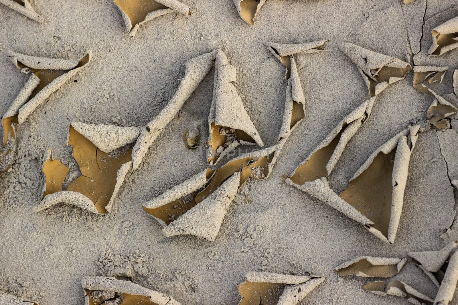 Cracked dry ground sand on the nature outdoors. Texture, background, sample