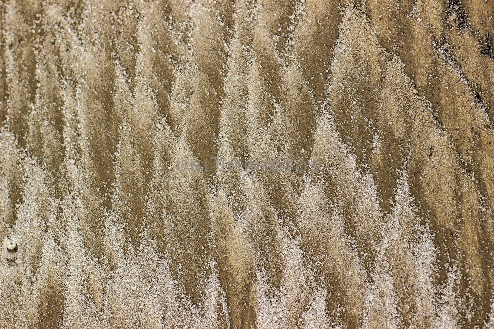 Cracked dry ground sand. Texture, background by lanart