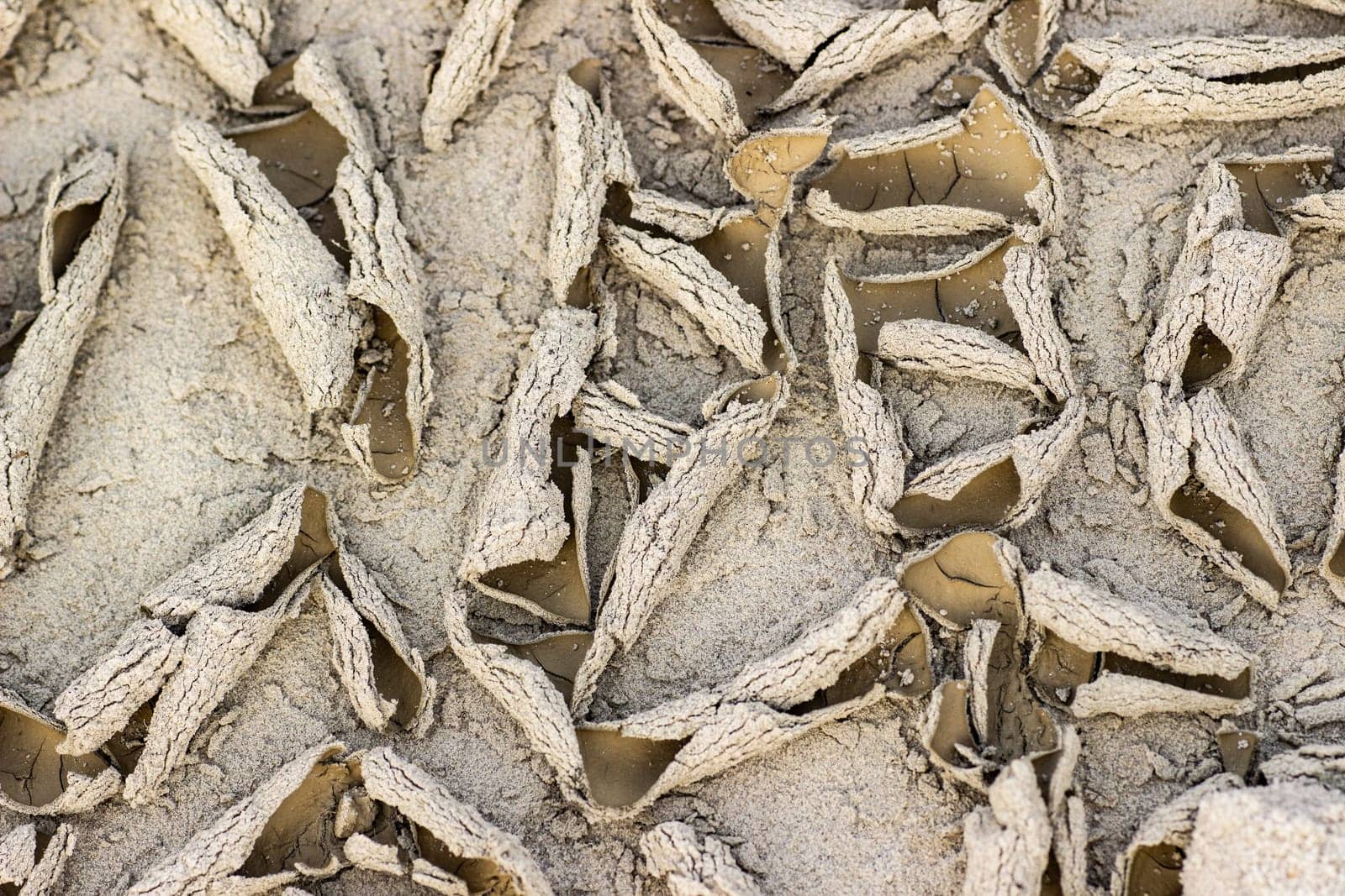 Cracked dry ground sand on the nature outdoors. Texture, background, sample