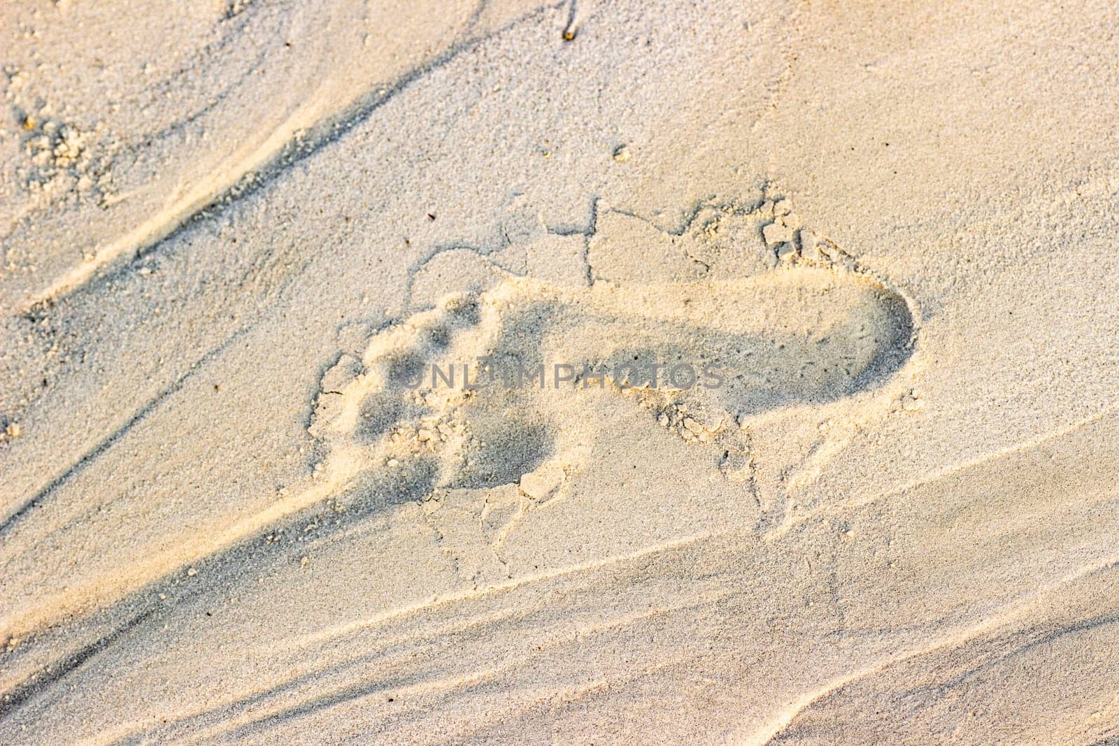 Trail footprint in the sand ground on the nature outdoors. Texture, background, sample