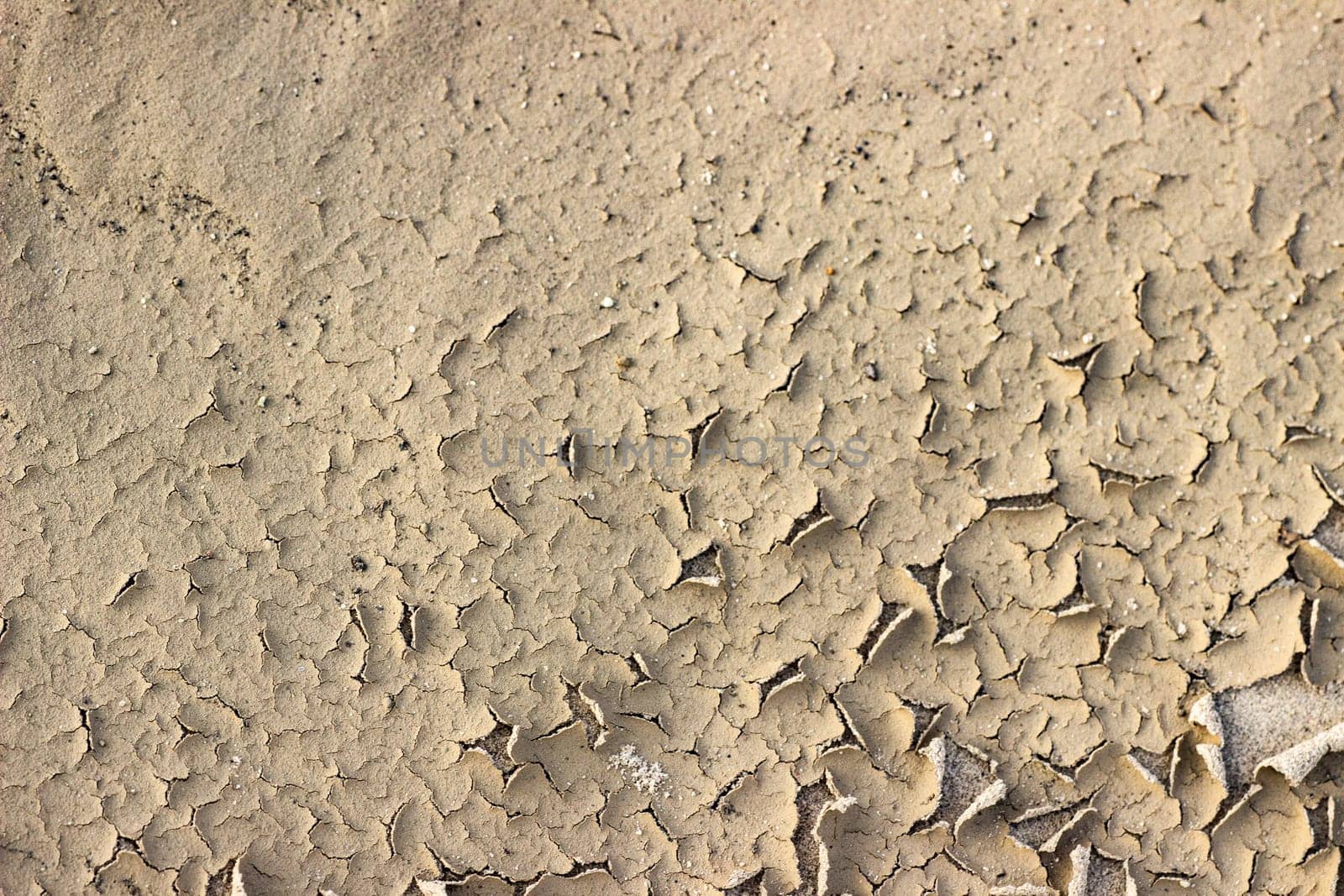 Cracked dry ground sand on the nature outdoors. Texture, background, sample