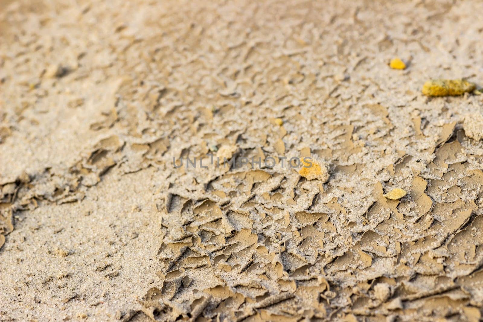 Cracked dry ground sand on the nature outdoors. Texture, background, sample