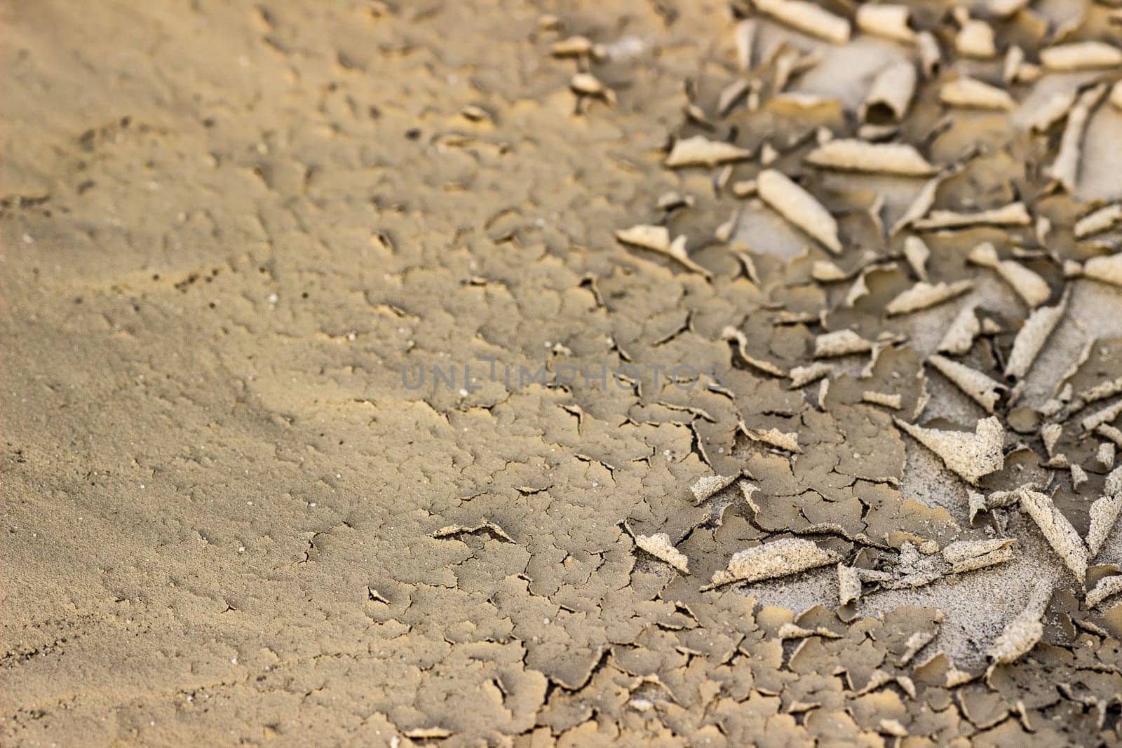 Cracked dry ground sand on the nature outdoors. Texture, background, sample