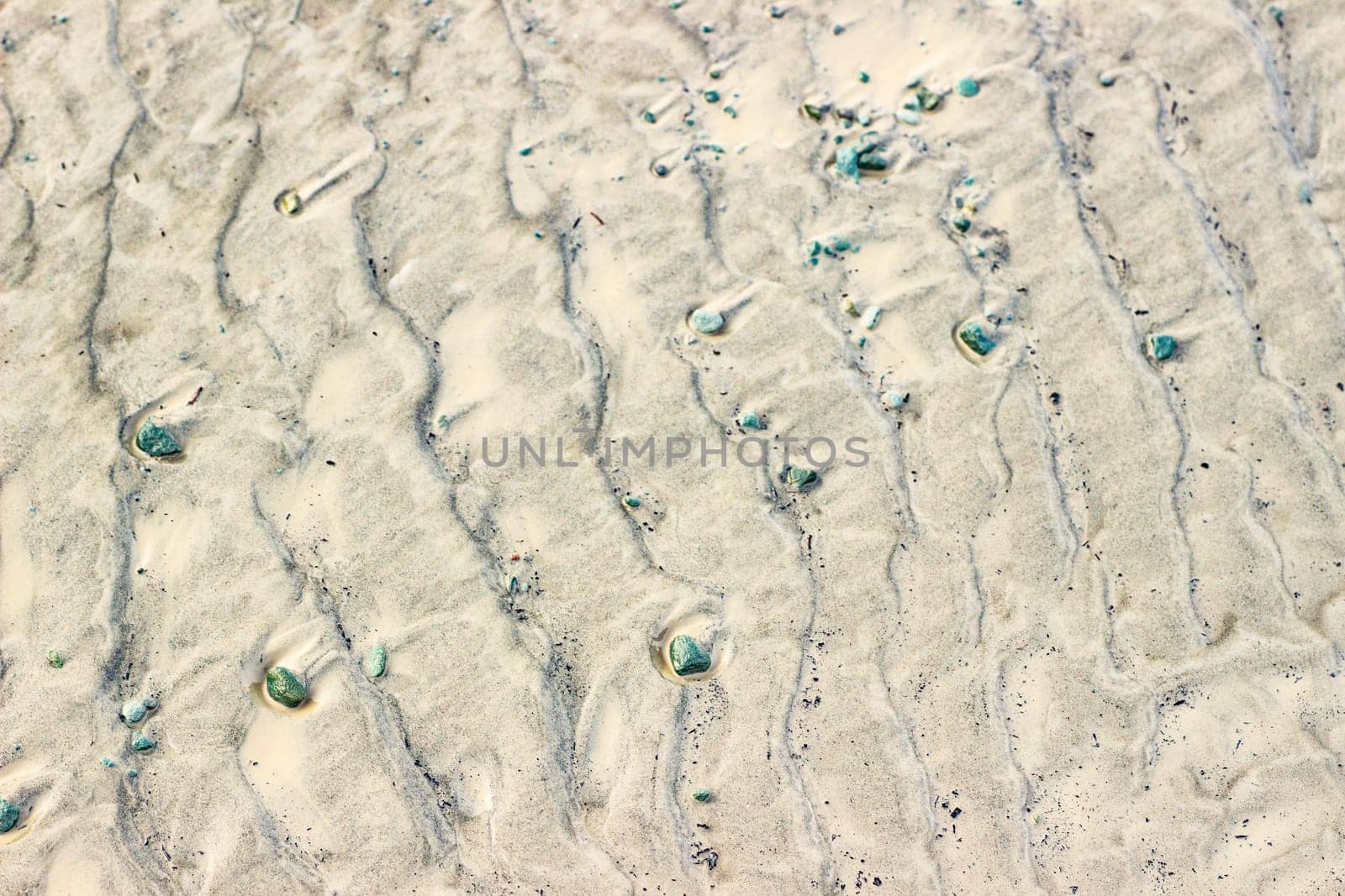 Cracked dry ground sand on the nature outdoors. Texture, background, sample