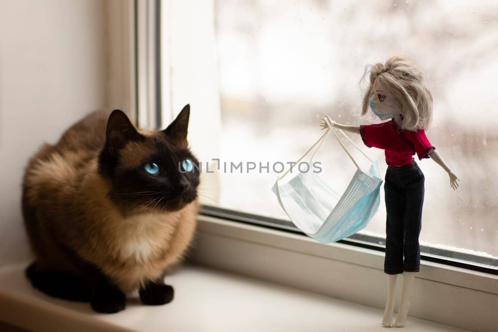 Child plaing during quarantine. Cat and toy doll in protective facial mask 