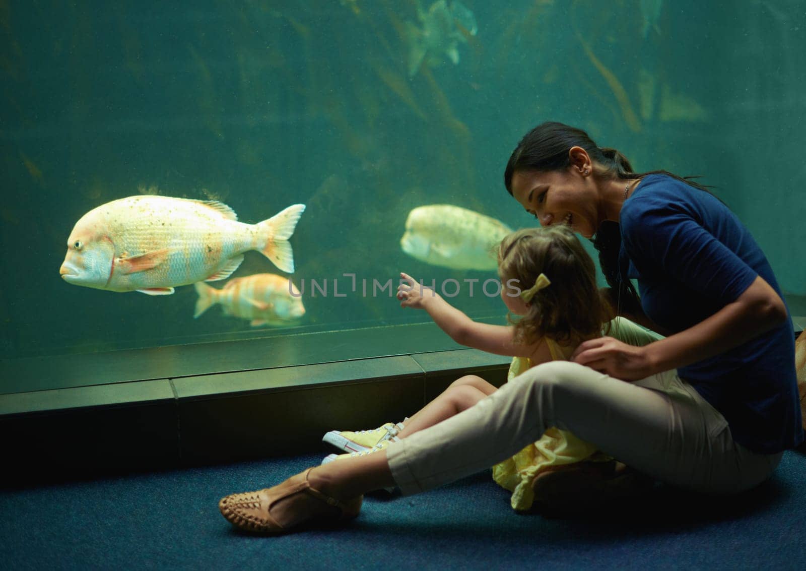 Mother, aquarium and girl pointing at fish for learning, curiosity or knowledge, nature and bonding together. Mom, fishtank and happy kid watching marine life or animals swim underwater in oceanarium by YuriArcurs