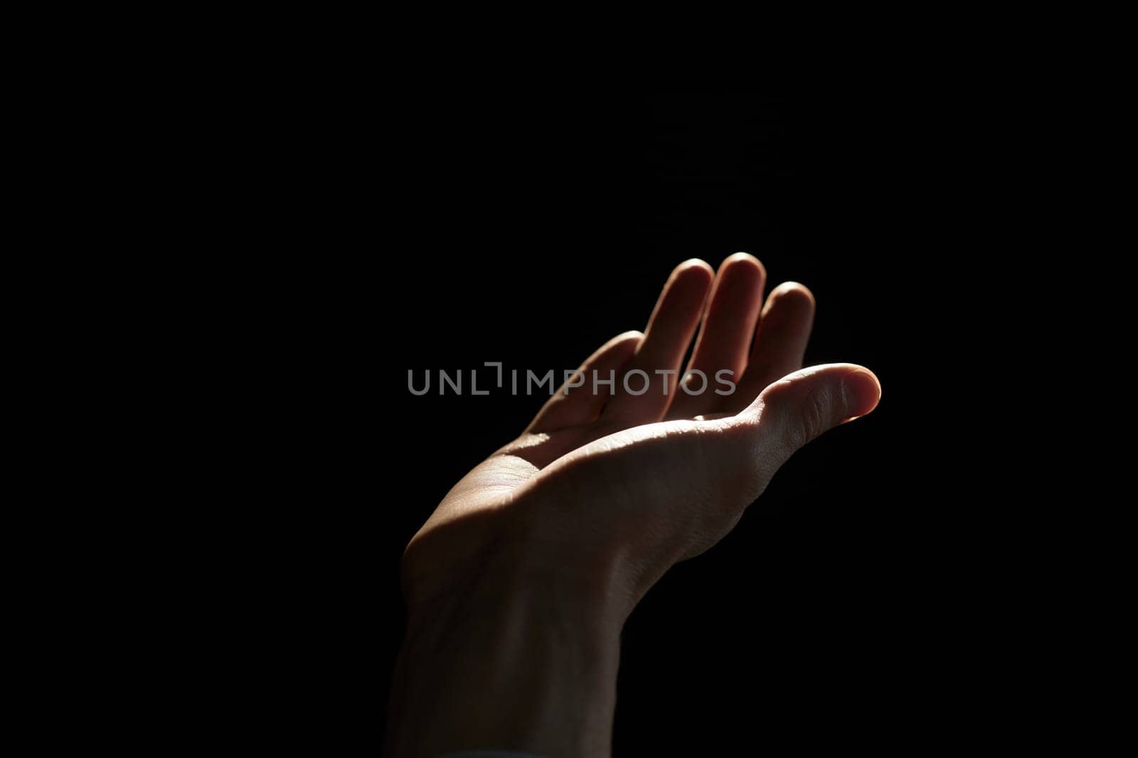 empty palm on a black background reaches up