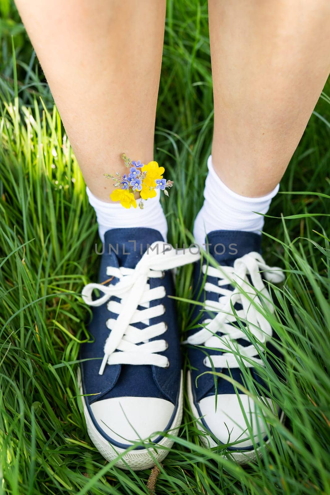 Beautiful casual shoes with flowers in socks. Flowers in blue sneakers, a classic. Walk. Modern unisex shoes. Fashionable stylish sports casual shoes. High quality photo. by sfinks