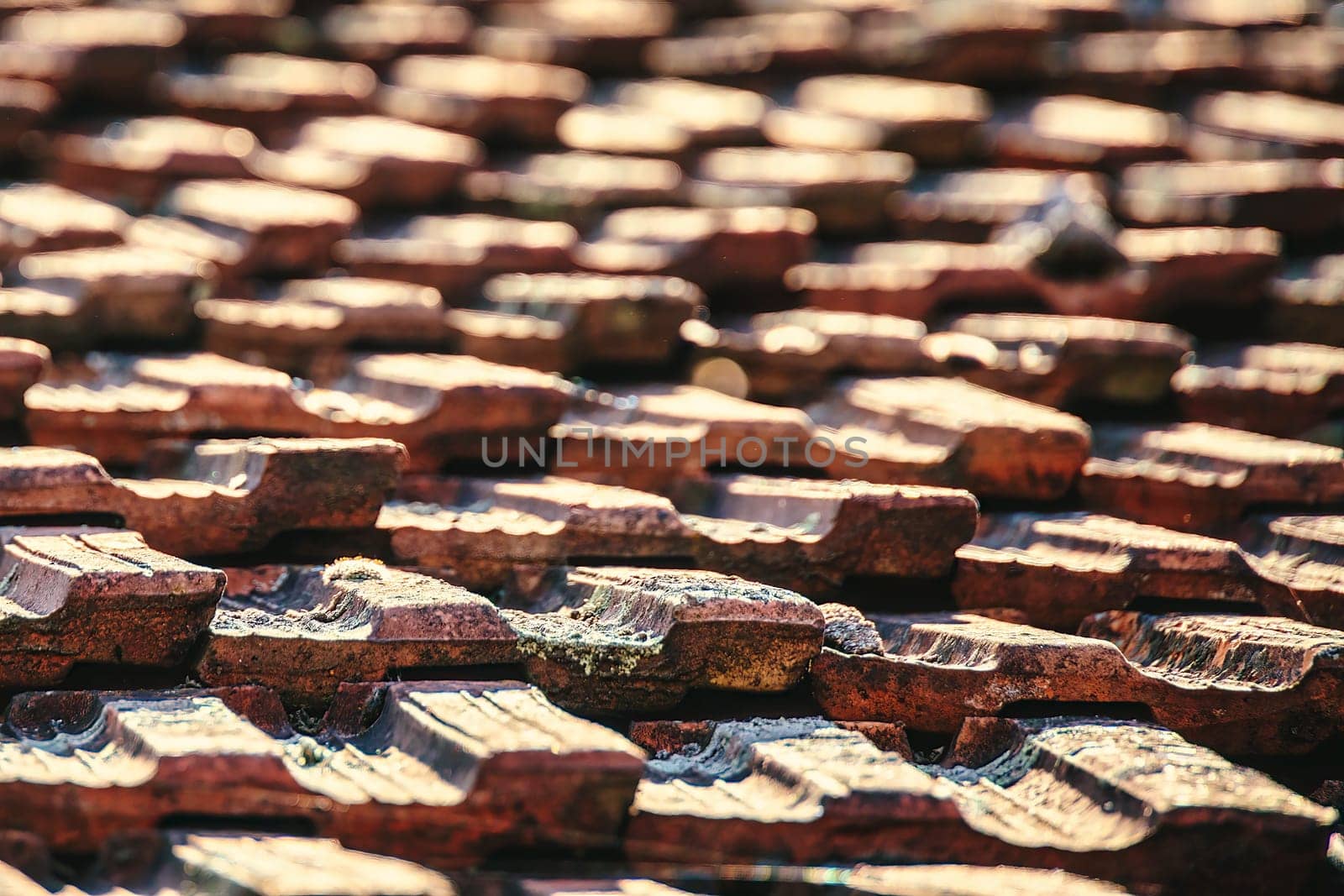 Close up of old roof tiles with visible degradation and vegetation growth. Abstract concept of vintage and time passing.
